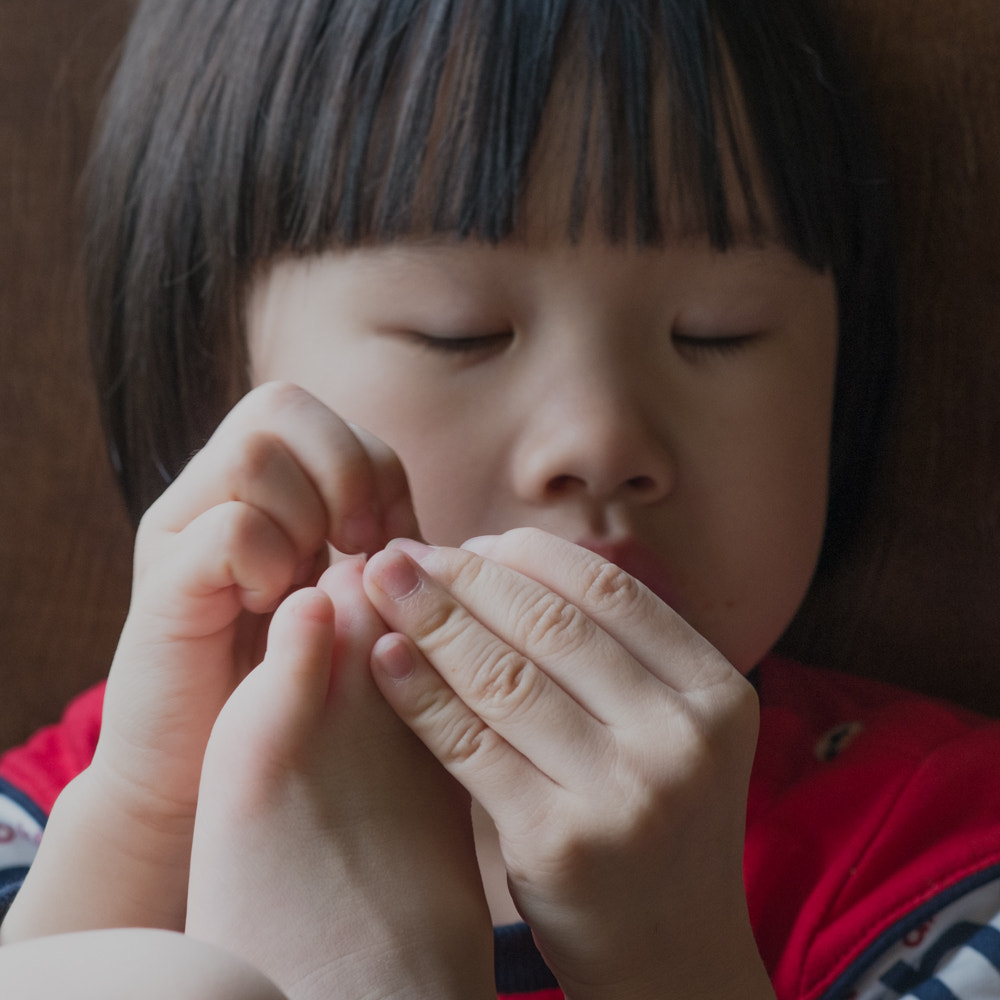 Fujifilm X-Pro1 + Fujifilm XF 60mm F2.4 R Macro sample photo. Kawaii photography