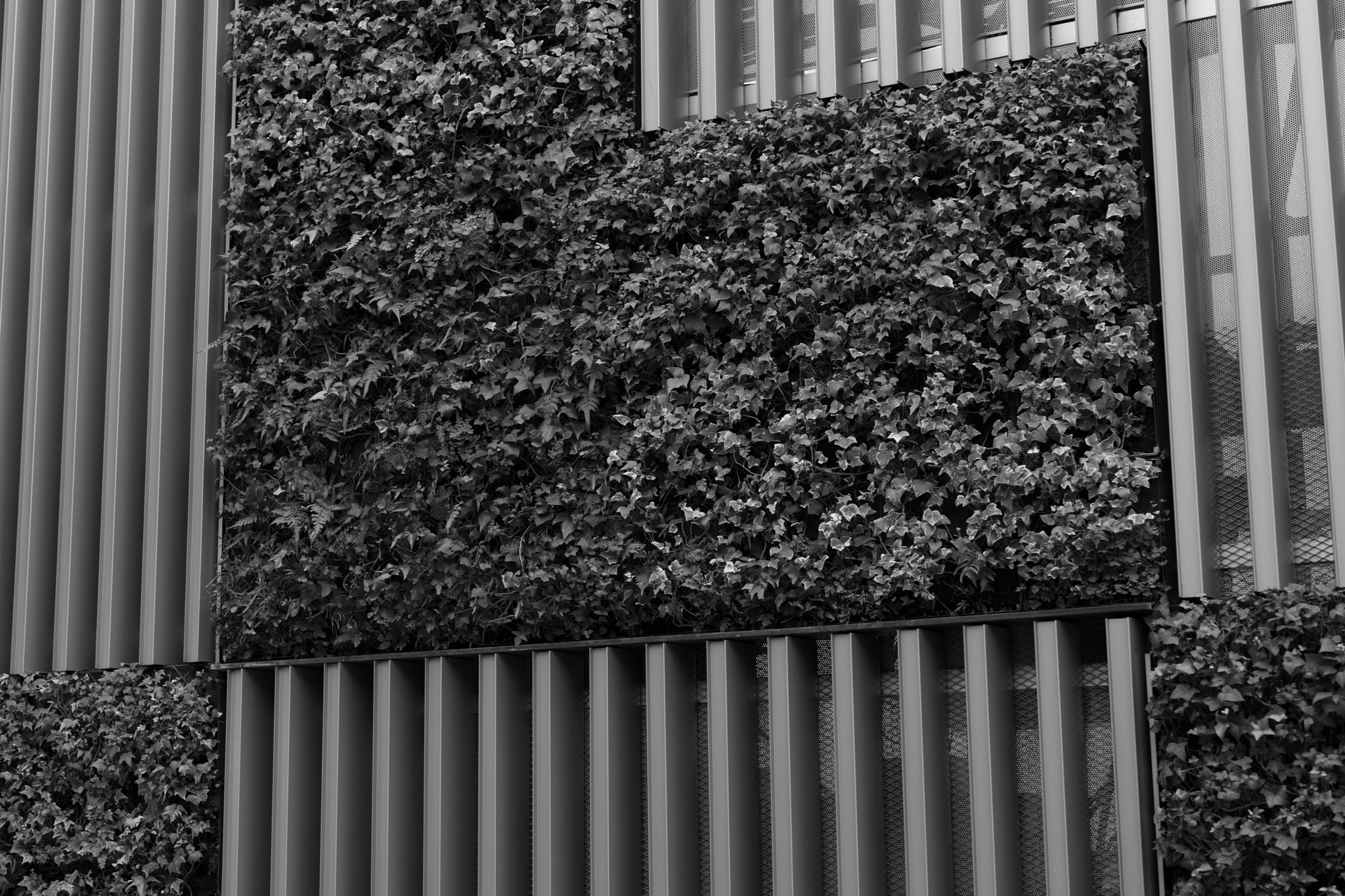 Sony Planar T* FE 50mm F1.4 ZA sample photo. Shinjuku photography