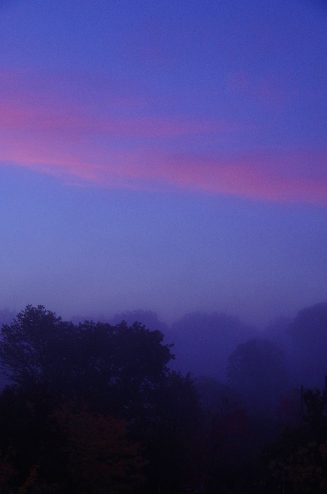 Pentax K-30 sample photo. Early morning fog photography