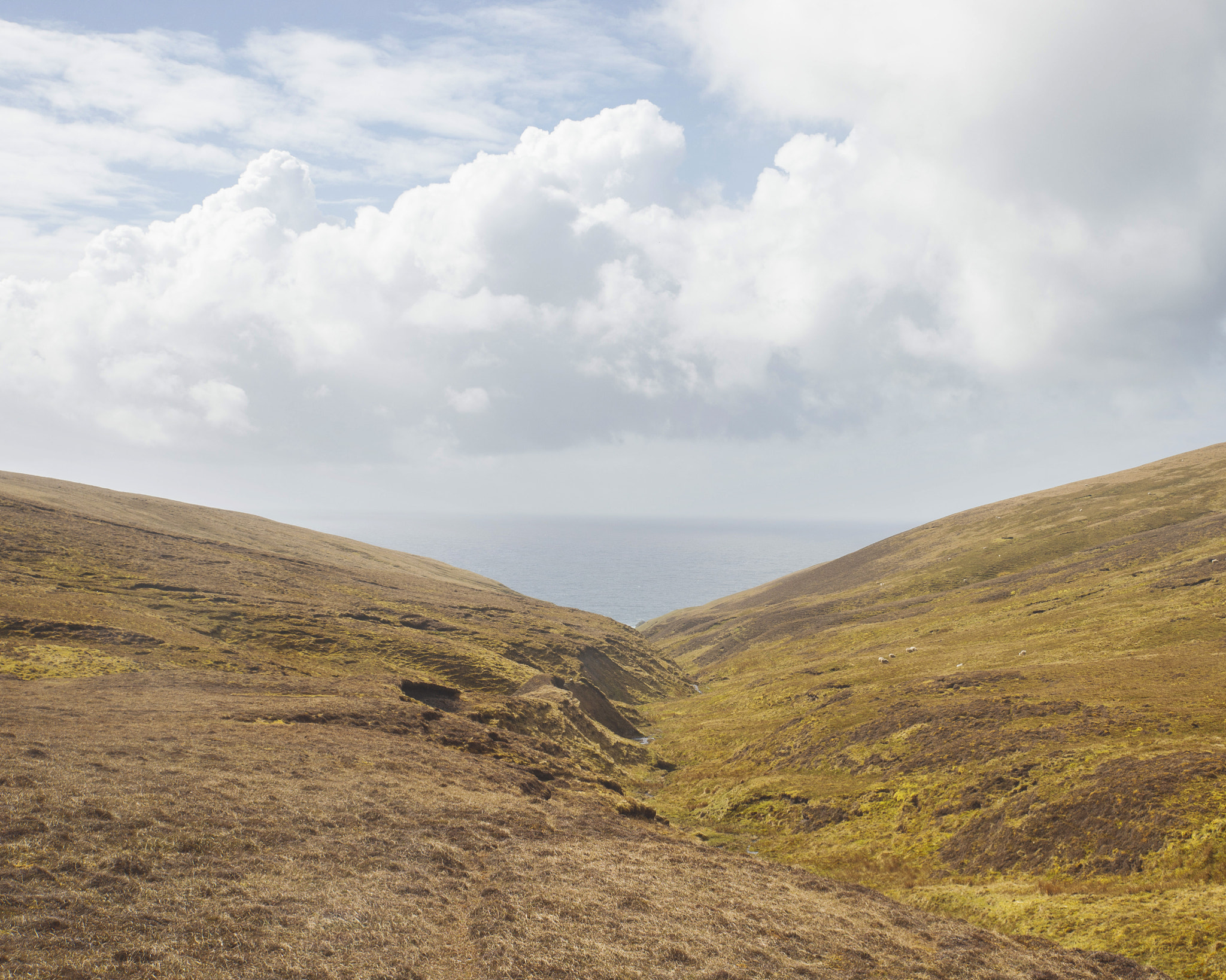 Nikon Df sample photo. Somewhere photography