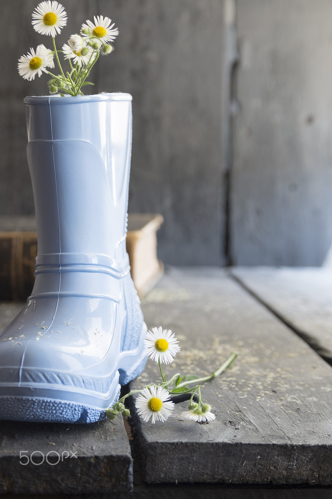 Sigma 18-200mm f/3.5-6.3 DC OS sample photo. Beautiful flowers and boots on a vintage table, photography