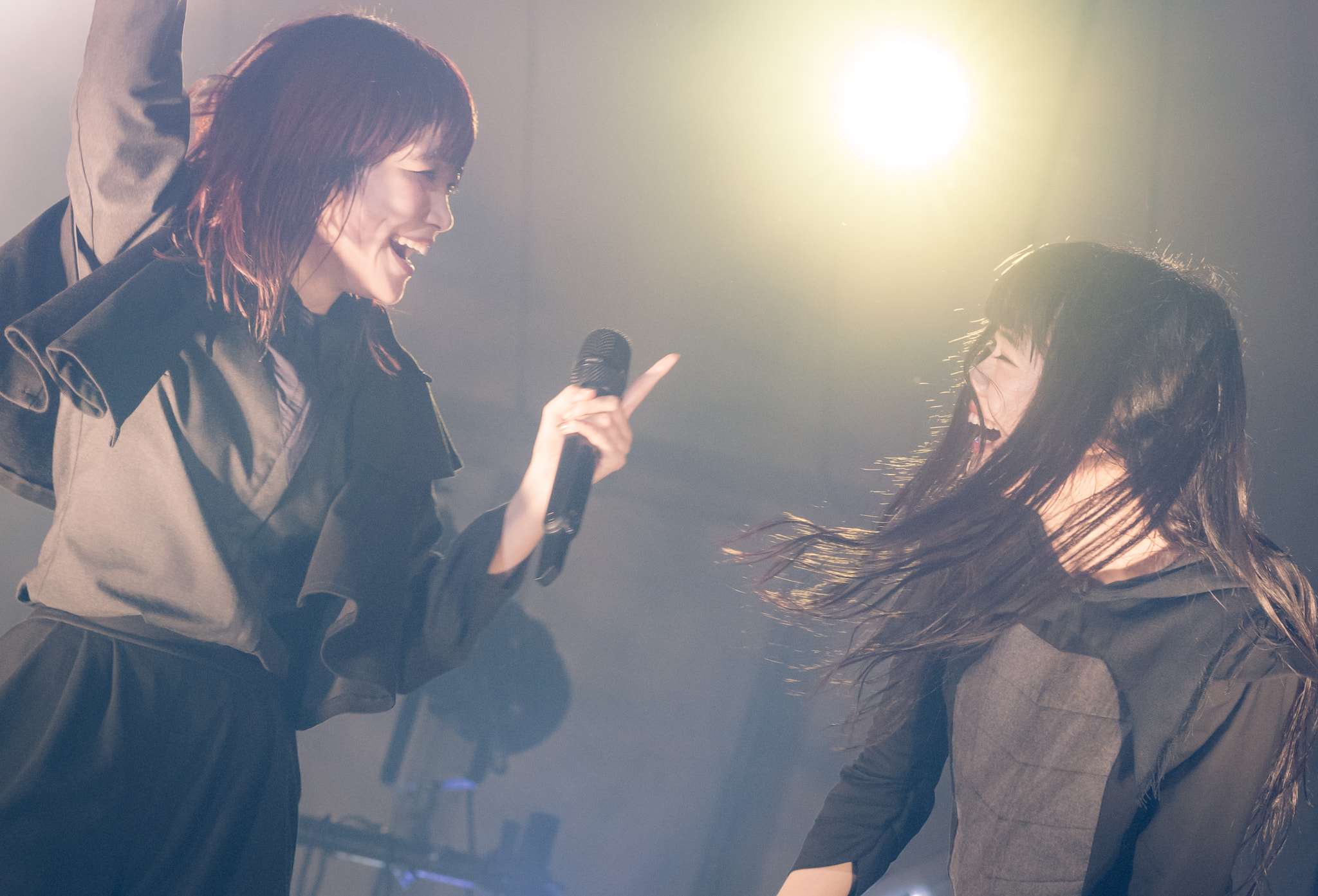 Sony Sonnar T* 135mm F1.8 ZA sample photo. Bish photography