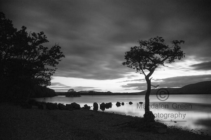 Nikon D700 + AF-S DX Zoom-Nikkor 18-55mm f/3.5-5.6G ED sample photo. Tree water and rocks  - calm black and white view -  loch lomond photography