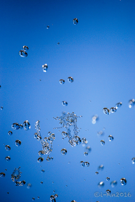 Nikon D40X sample photo. Drops photography