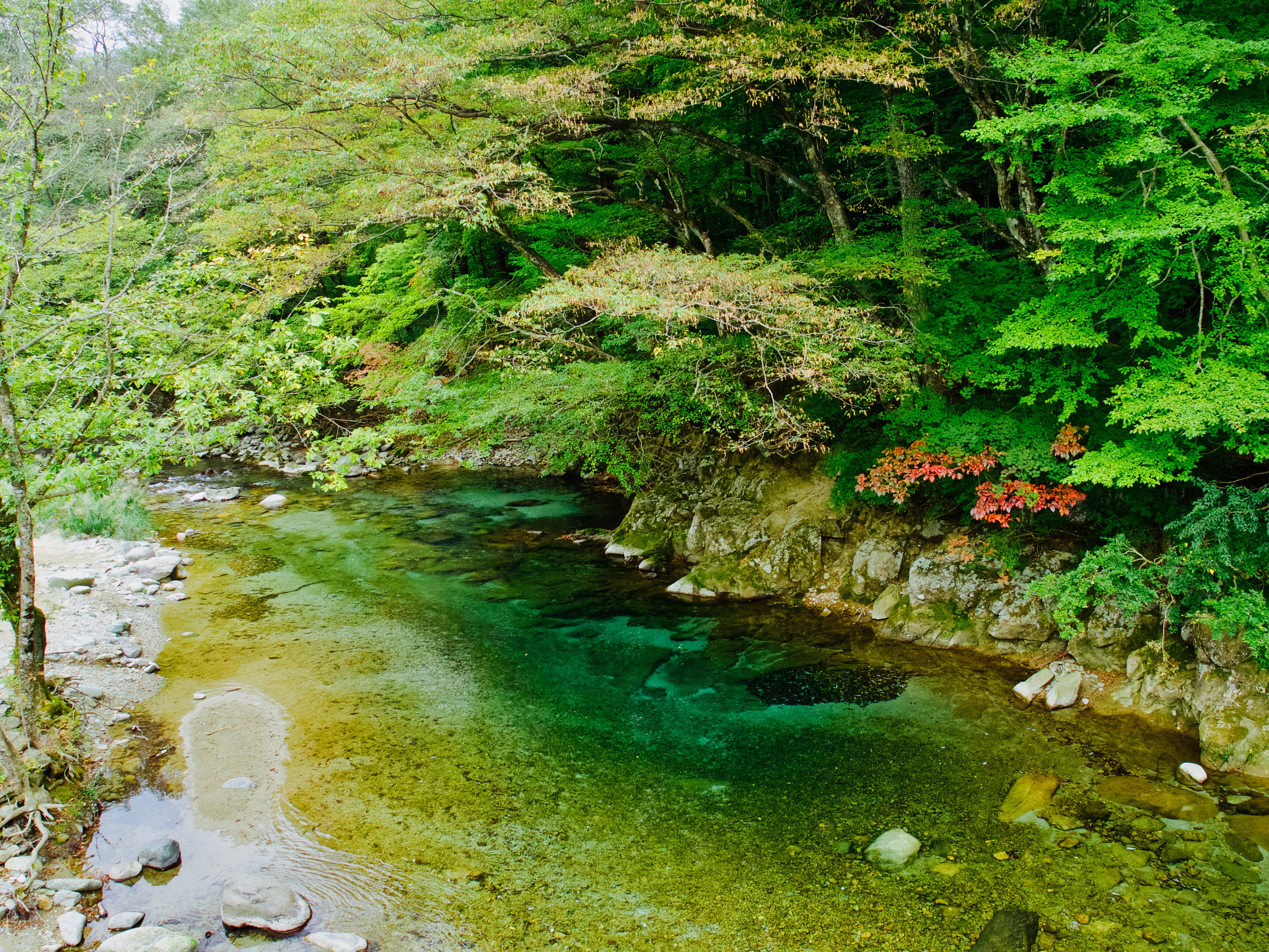 PENTAX RICOH IMAGING PENTAX MX-1 sample photo. Itamuro, nasu photography