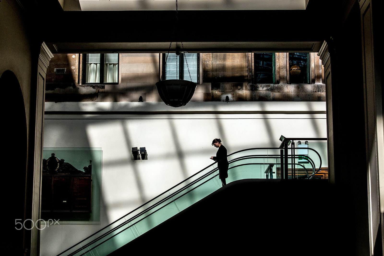 Sigma 24-105mm f/4 DG OS HSM | A sample photo. Head down. photography