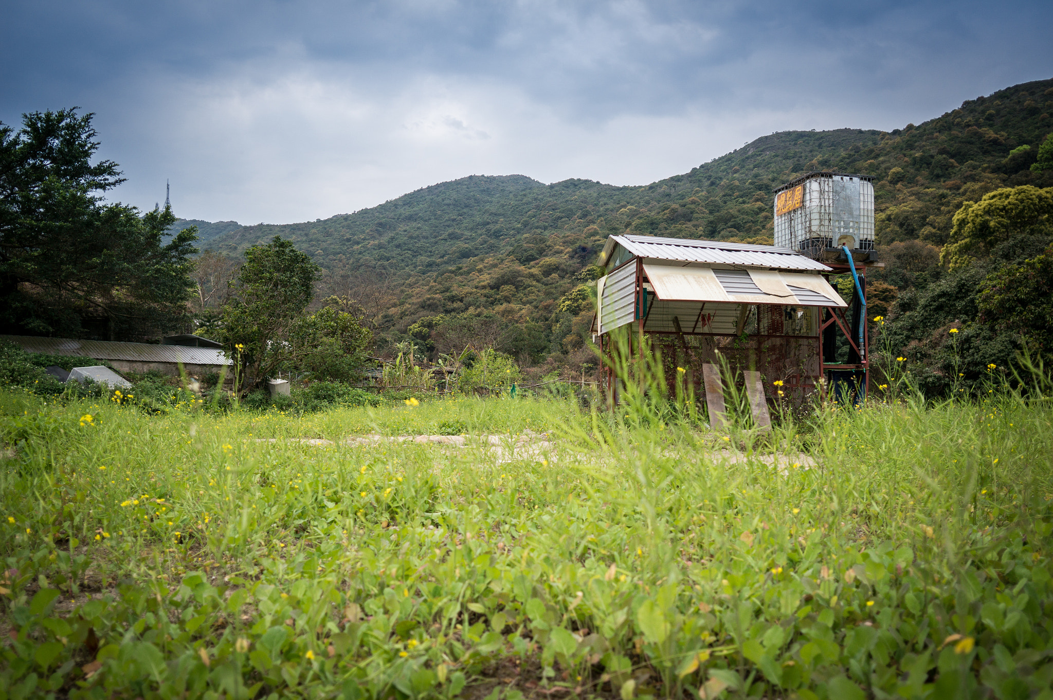 Sony Alpha NEX-6 + Sigma 19mm F2.8 EX DN sample photo. 介花田 photography