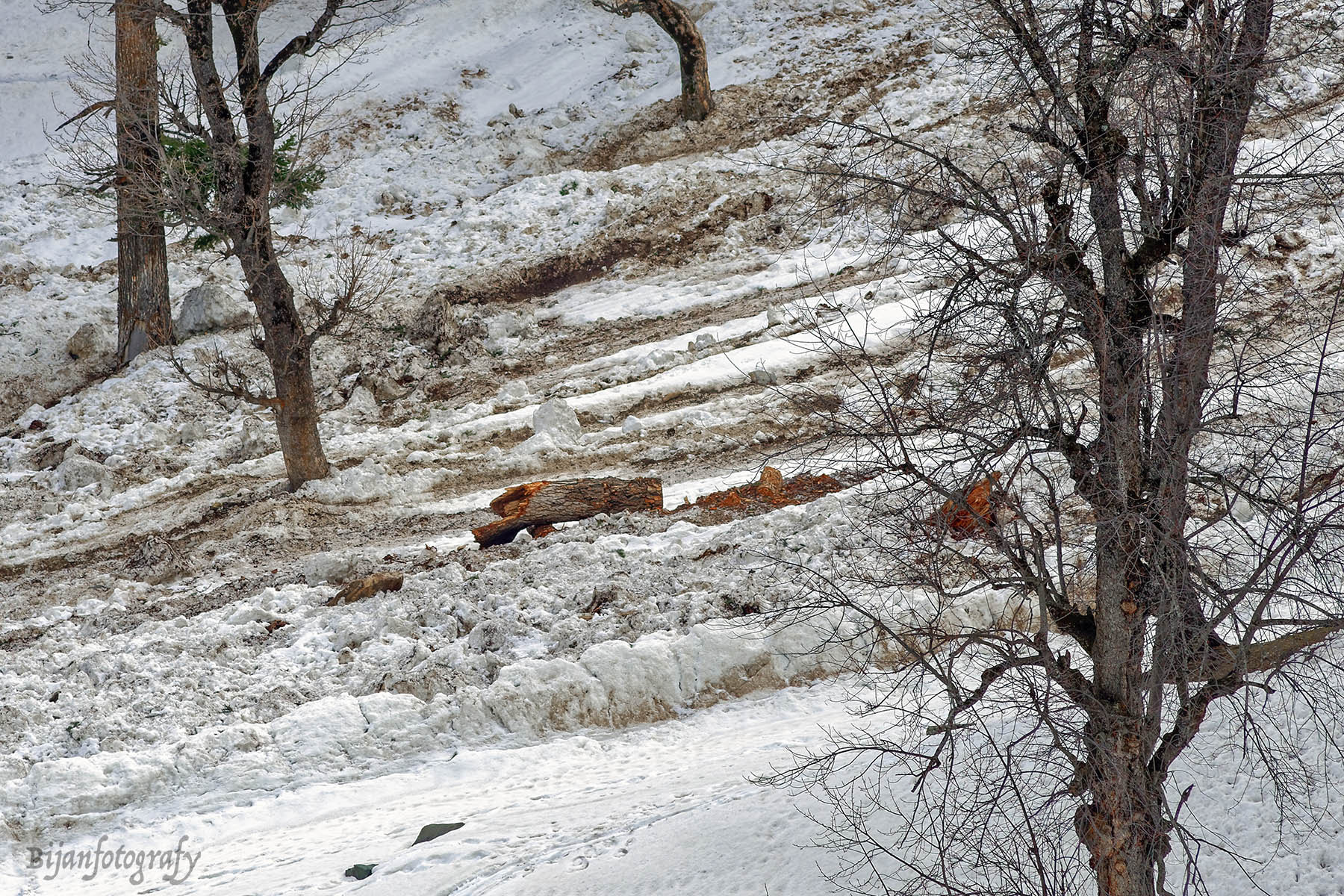 Nikon AF Nikkor 180mm F2.8D ED-IF sample photo. Snow 3 ... photography