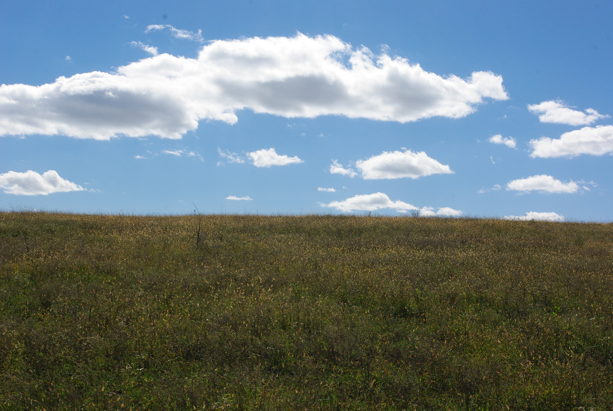 Pentax K-m (K2000) sample photo. Kansas field photography