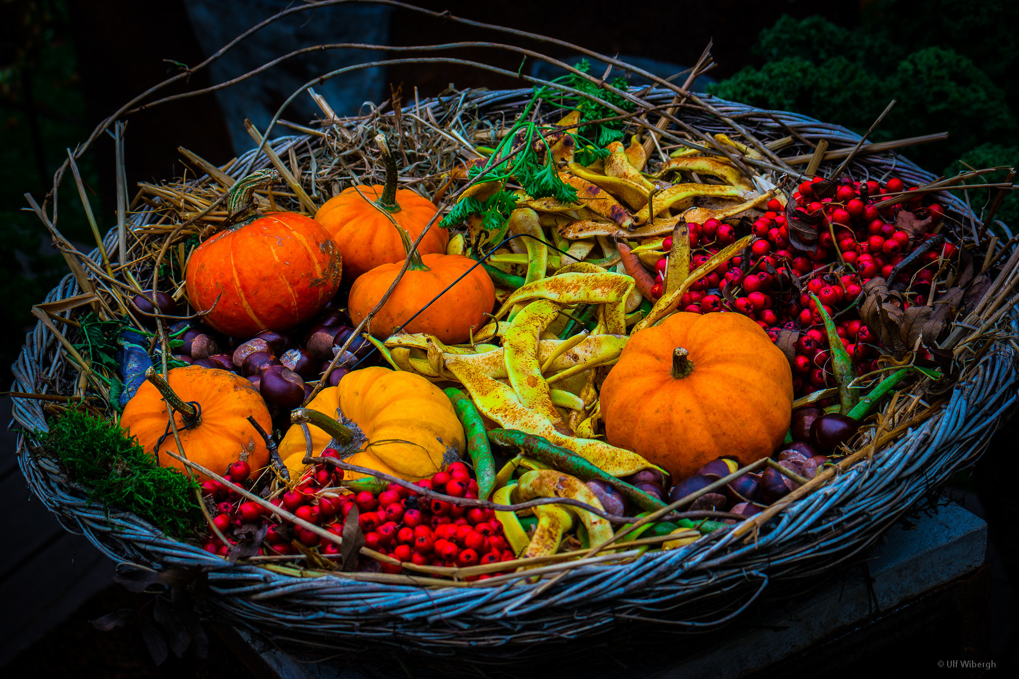 Samsung NX 50-200mm F4-5.6 ED OIS sample photo. Autum color box photography