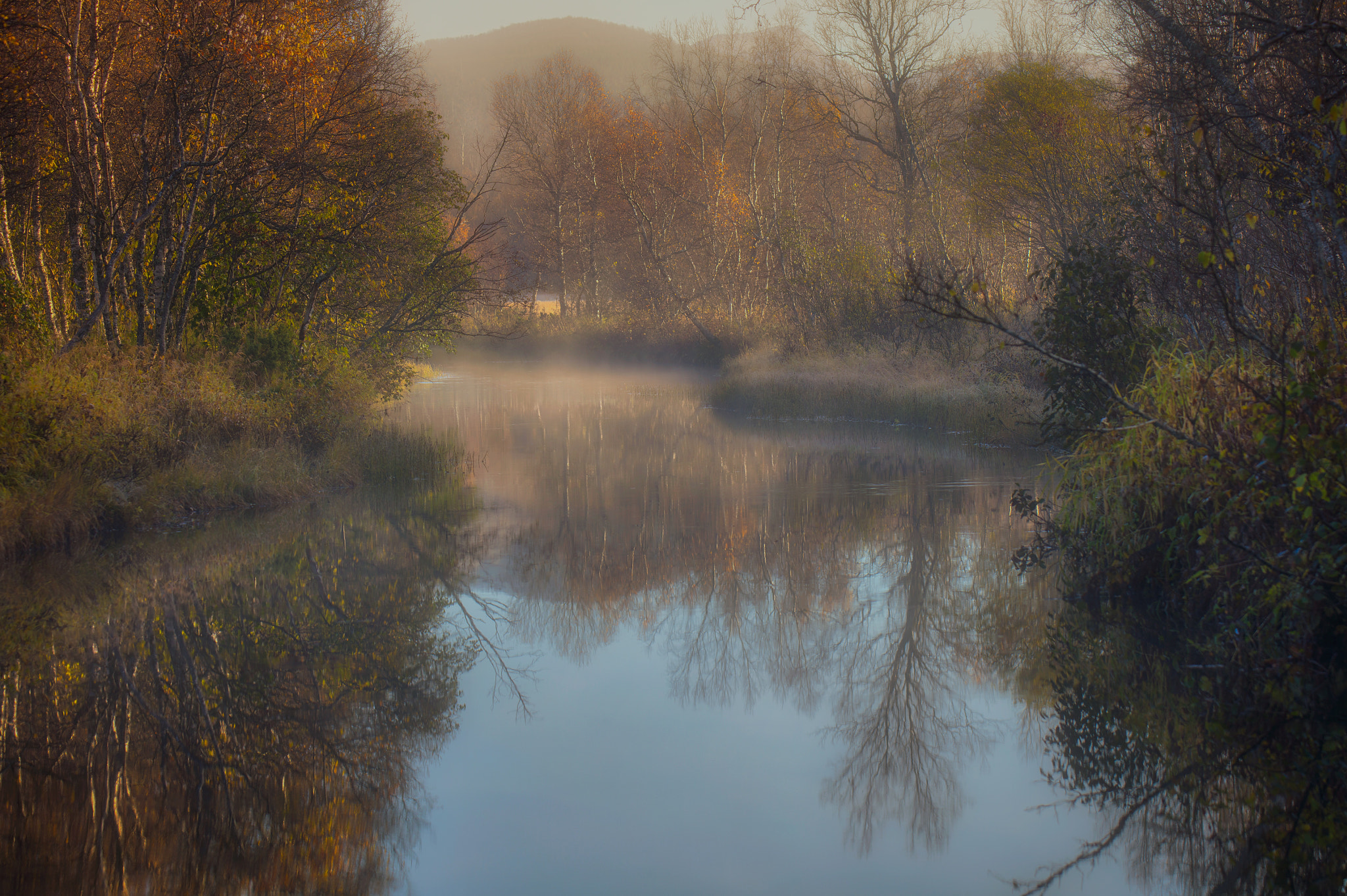 Canon EF 200mm F2.8L II USM sample photo. Morning dusk photography