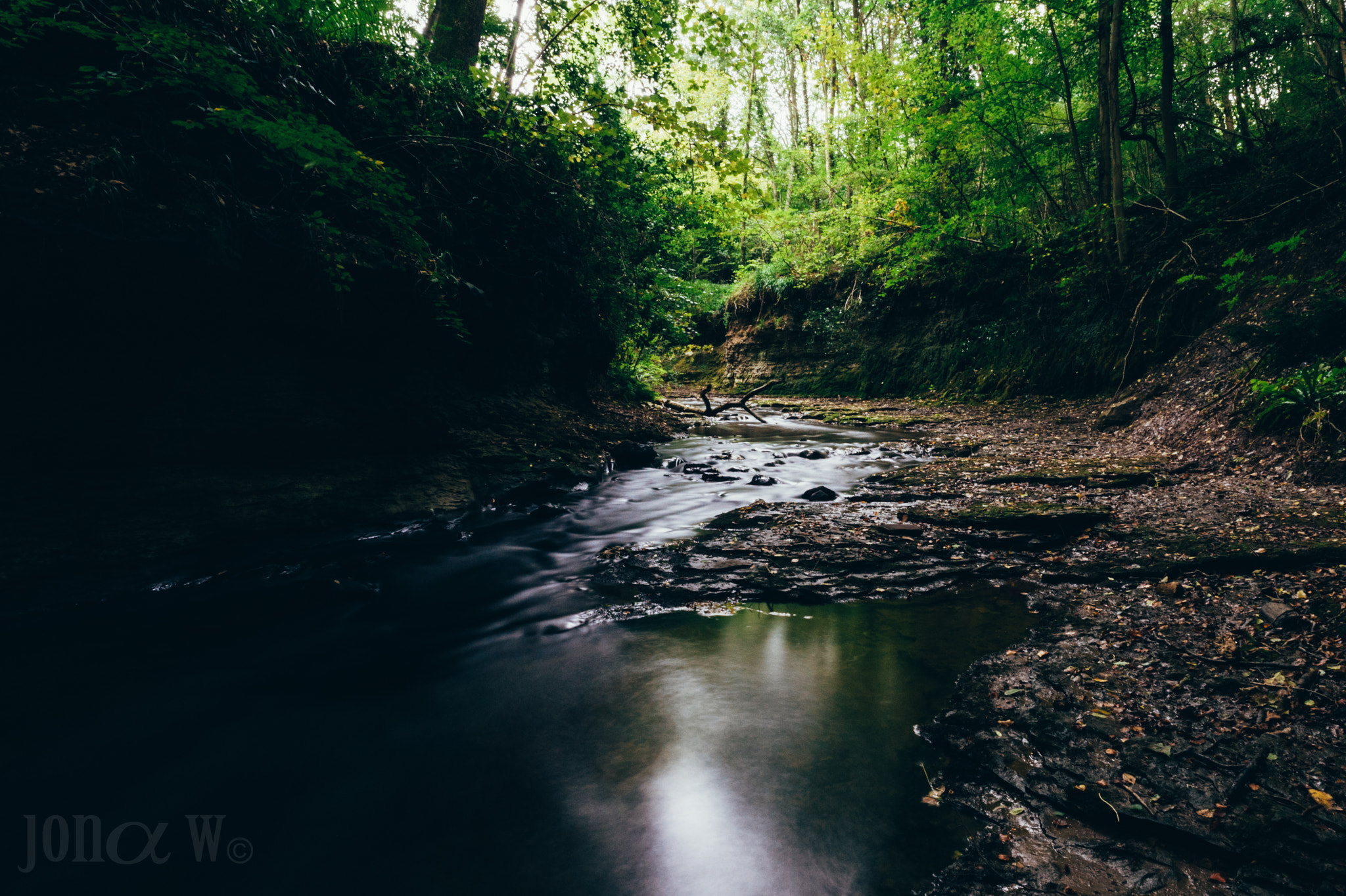 Sony a7R + ZEISS Touit 12mm F2.8 sample photo. Saltburn woods - creek long exposure photography
