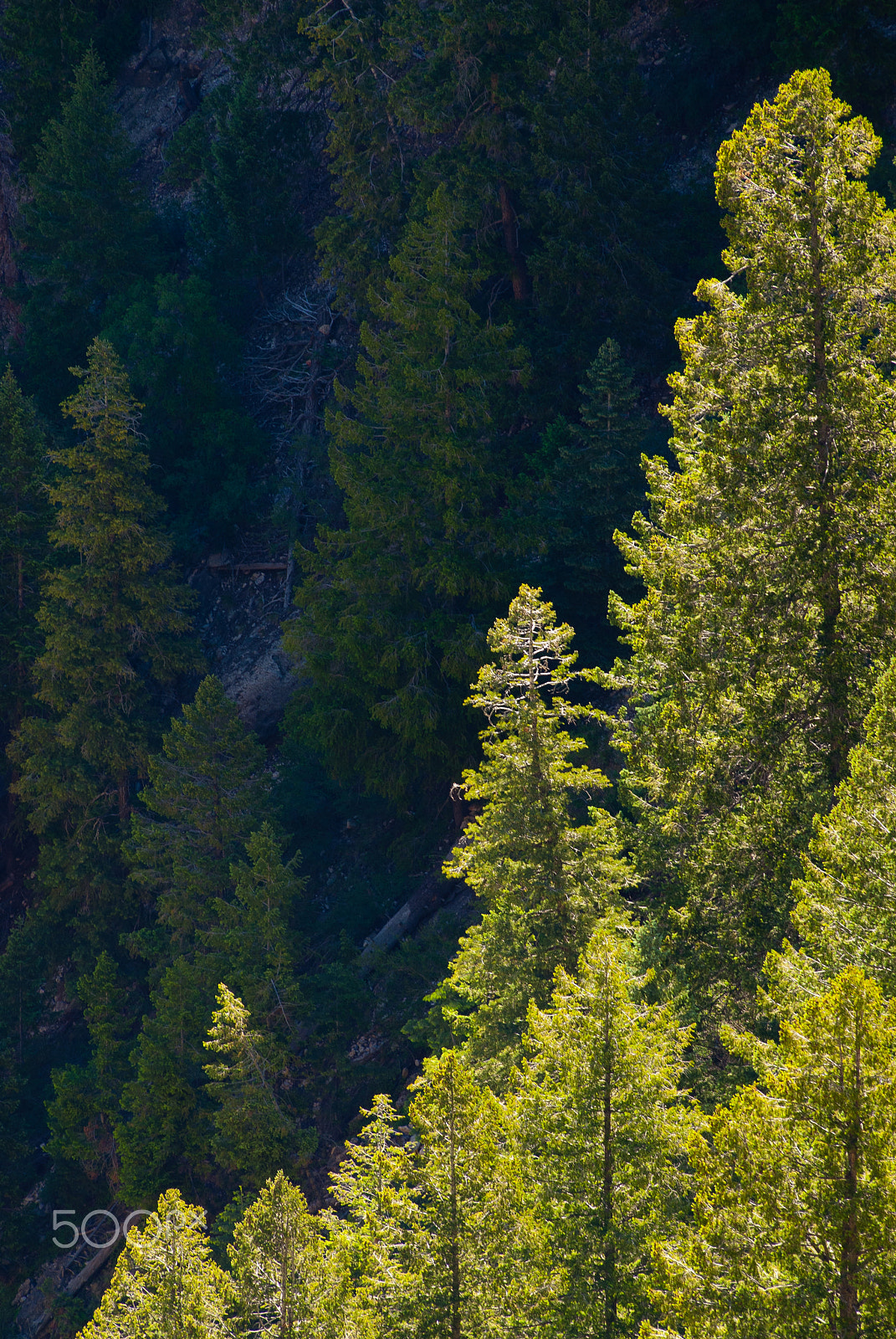 AF Zoom-Nikkor 80-200mm f/2.8 ED sample photo. Grand canyon photography