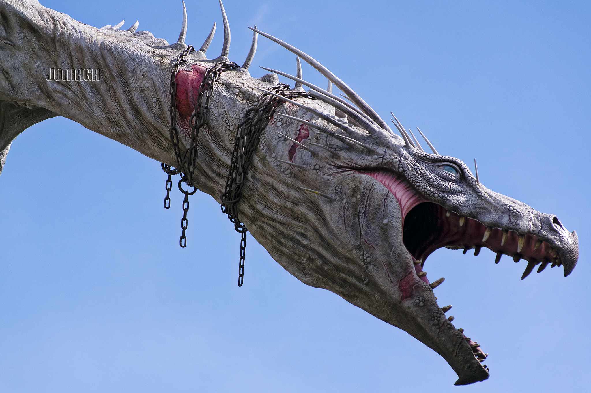 Pentax smc DA* 50-135mm F2.8 ED (IF) SDM sample photo. Dragon photography