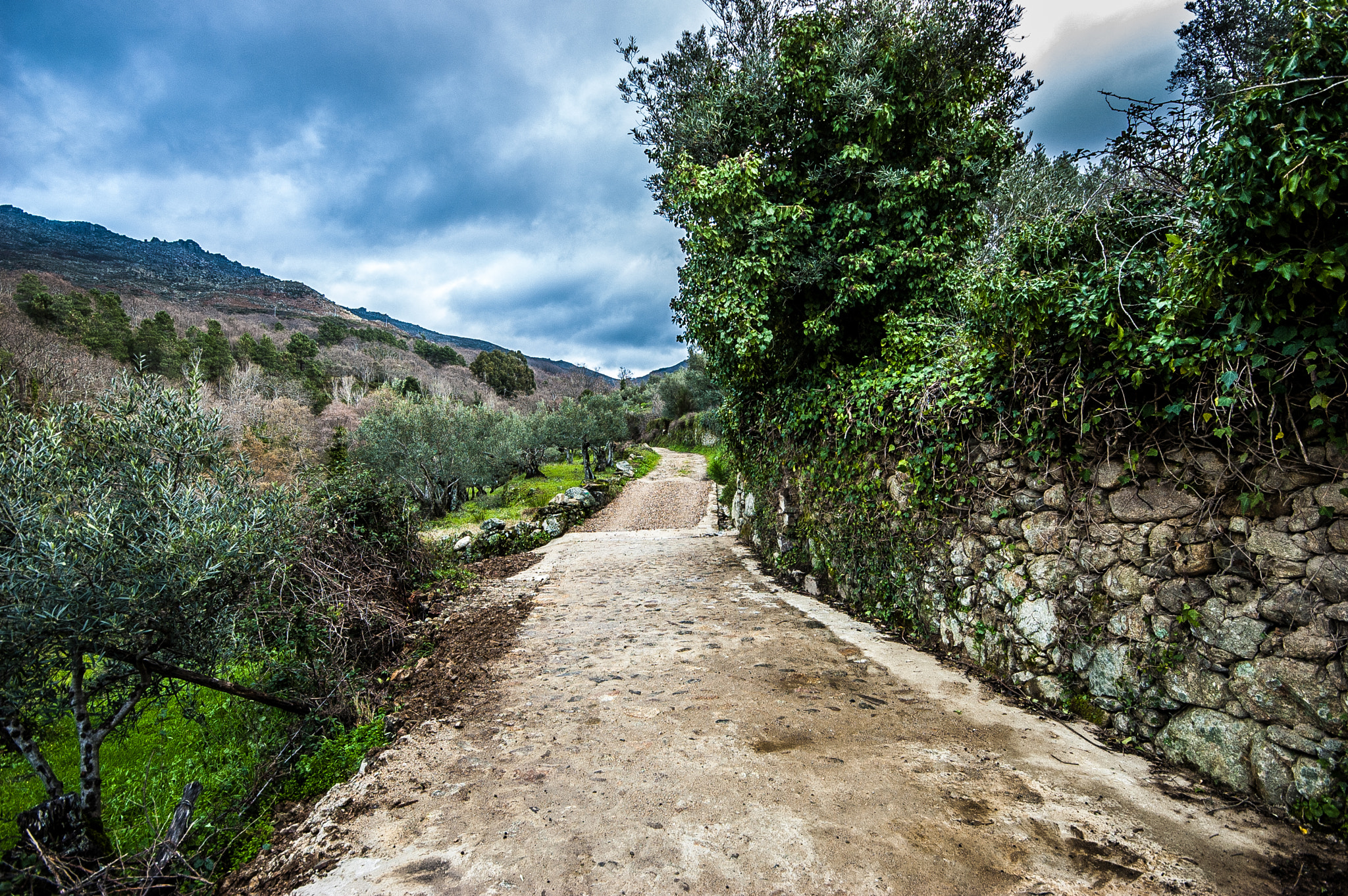 Nikon D70 sample photo. San martín photography