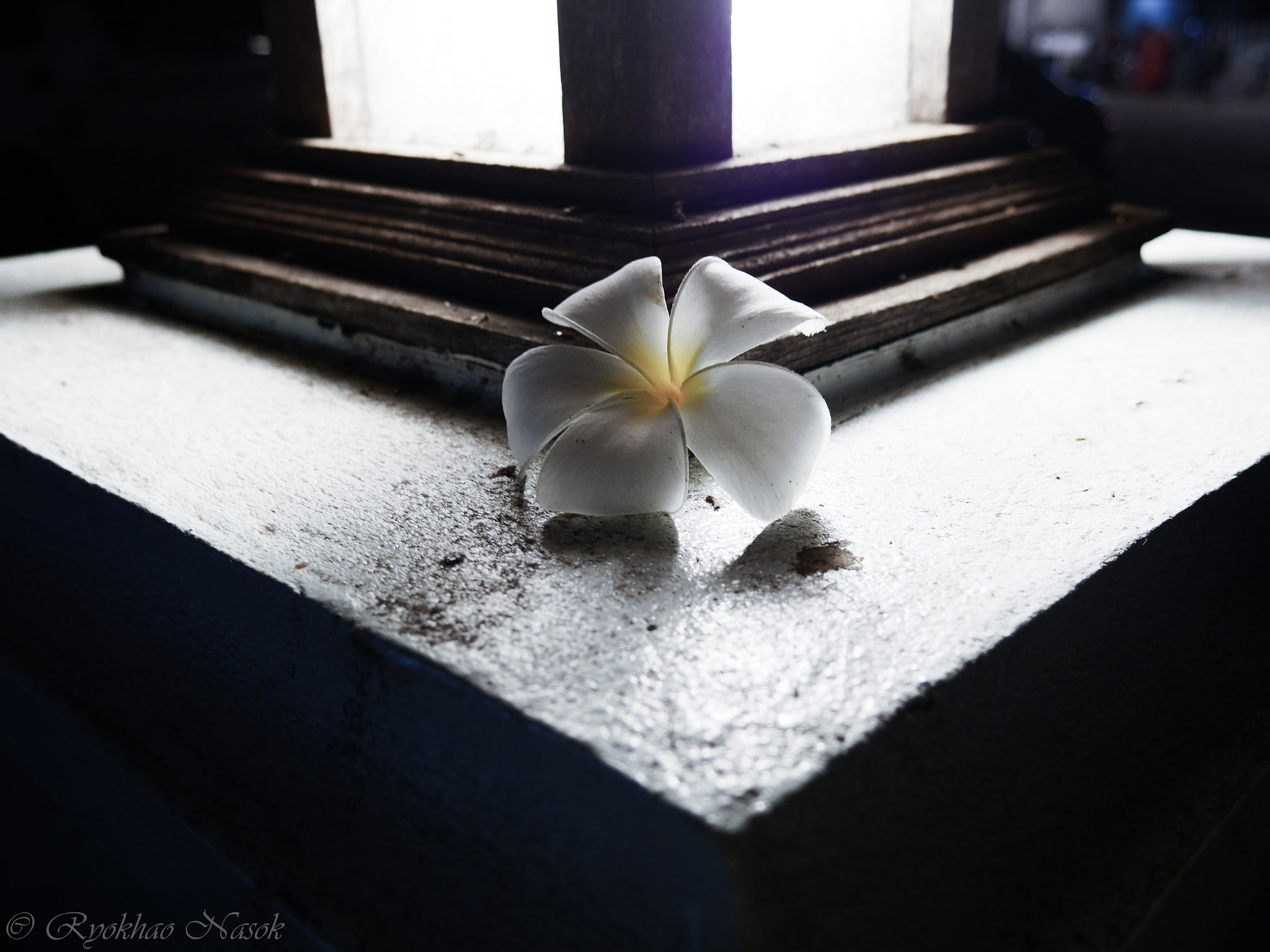 Panasonic Lumix DMC-GX8 sample photo. ลีลาวดี photography