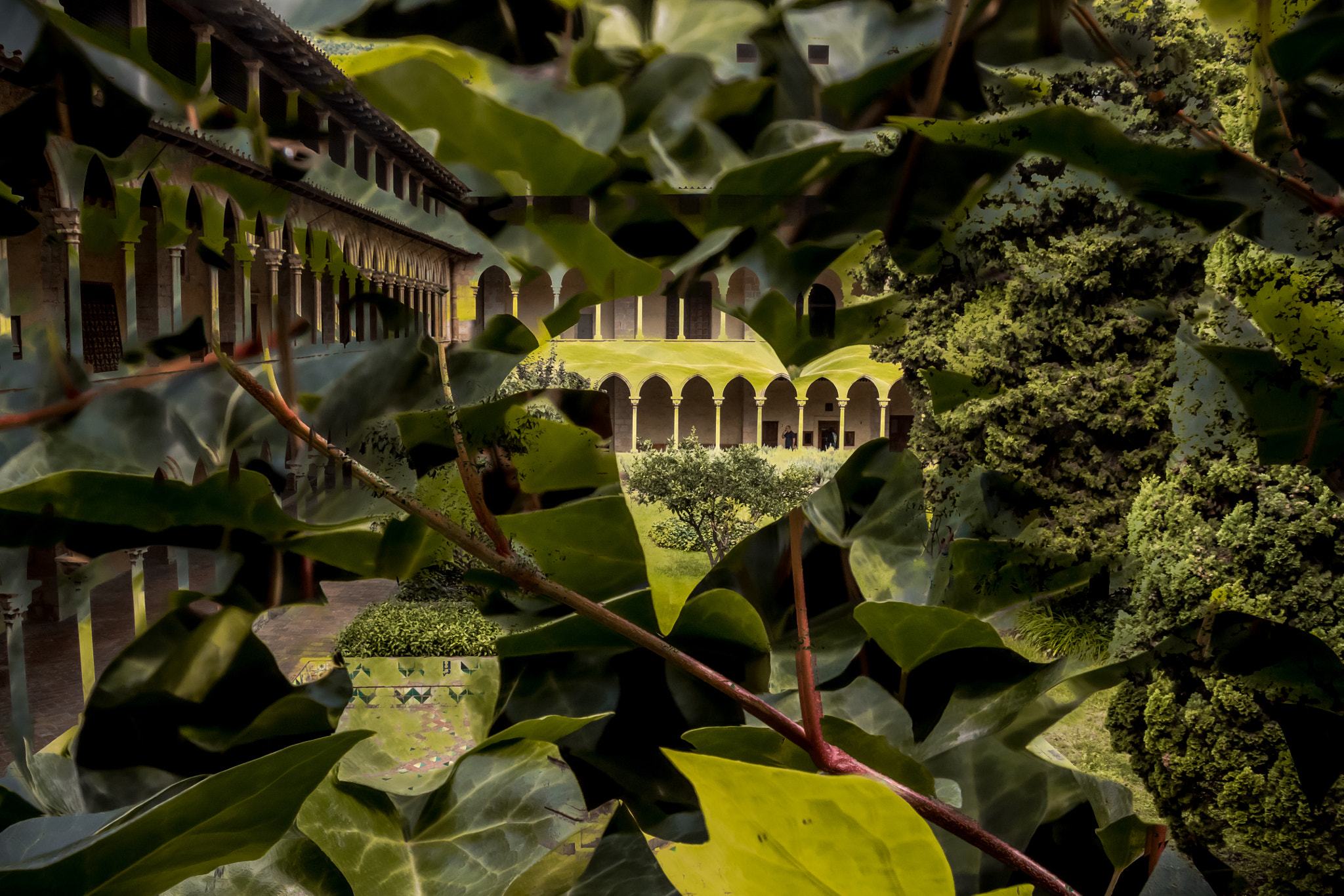 Canon EF 75-300mm F4.0-5.6 IS USM sample photo. Claustre del monestir de pedralbes (ii) photography