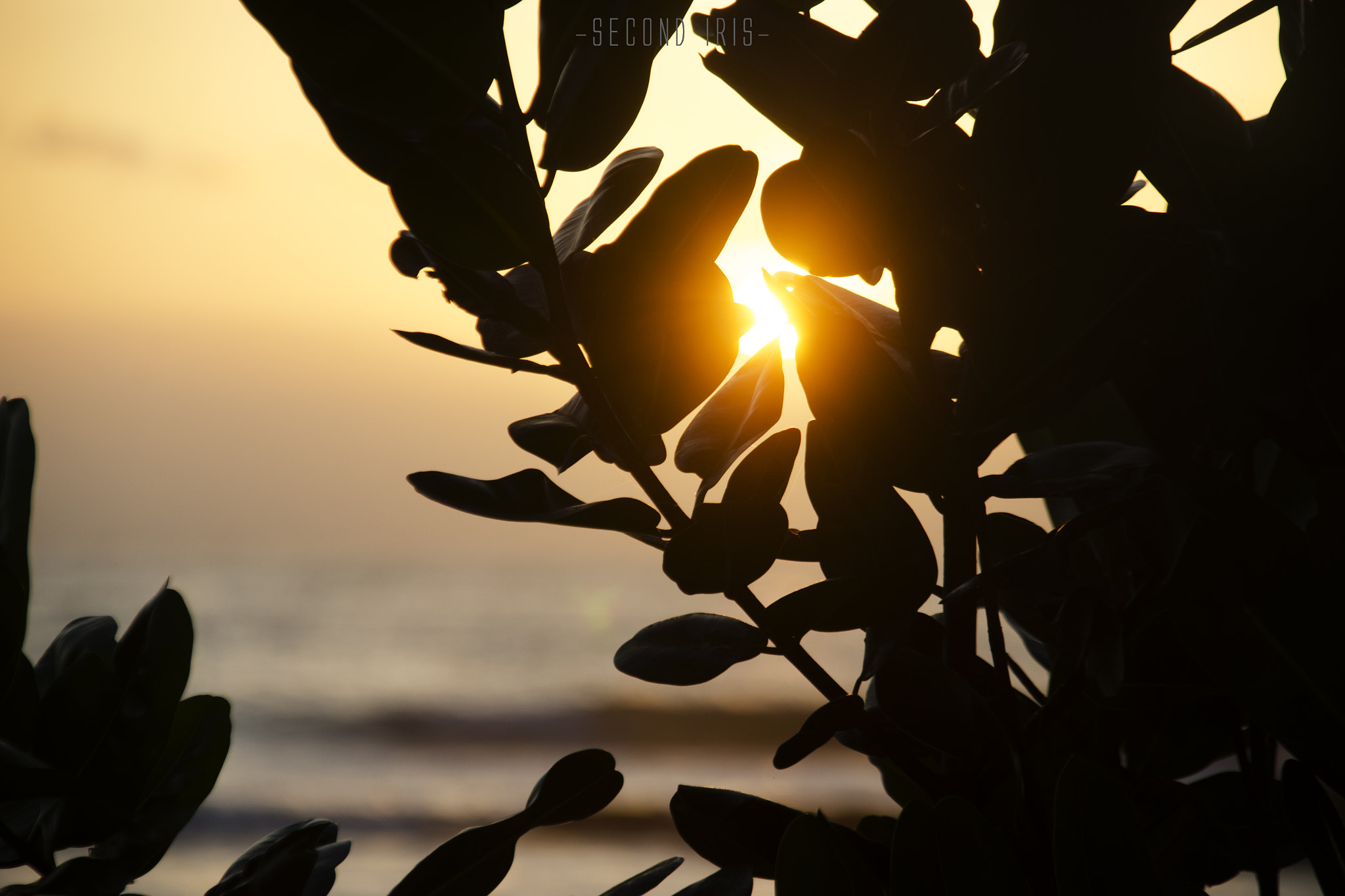 Sigma 18-200mm F3.5-6.3 DC OS HSM sample photo. A beautiful sunset streaks through photography
