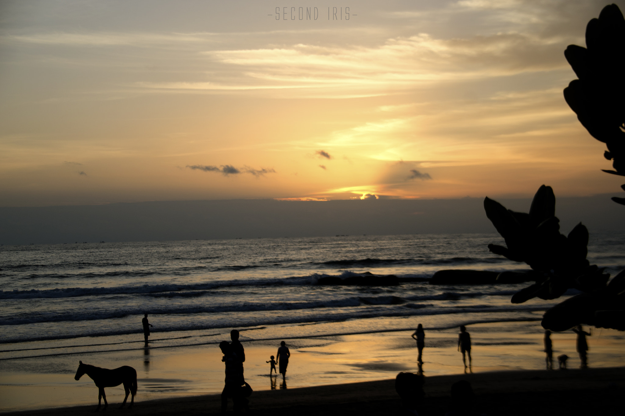 Sigma 18-200mm F3.5-6.3 DC OS HSM sample photo. Man, horse, nature and the sun photography
