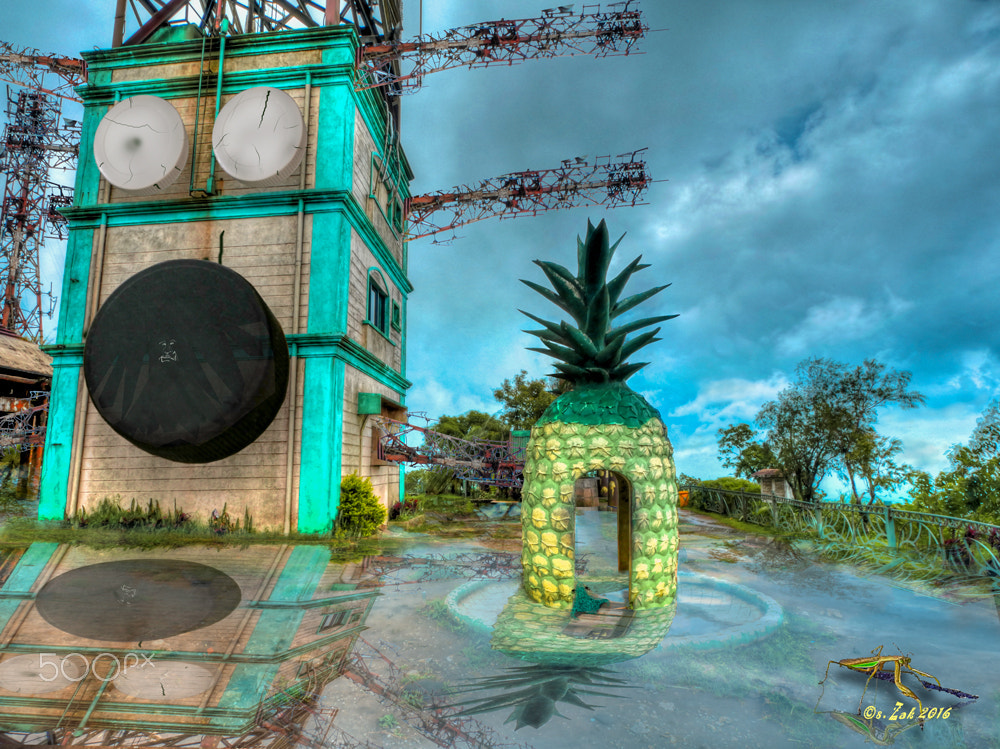 Olympus Zuiko Digital ED 9-18mm F4.0-5.6 sample photo. Holy pineapple meets leaning tower of radio photography