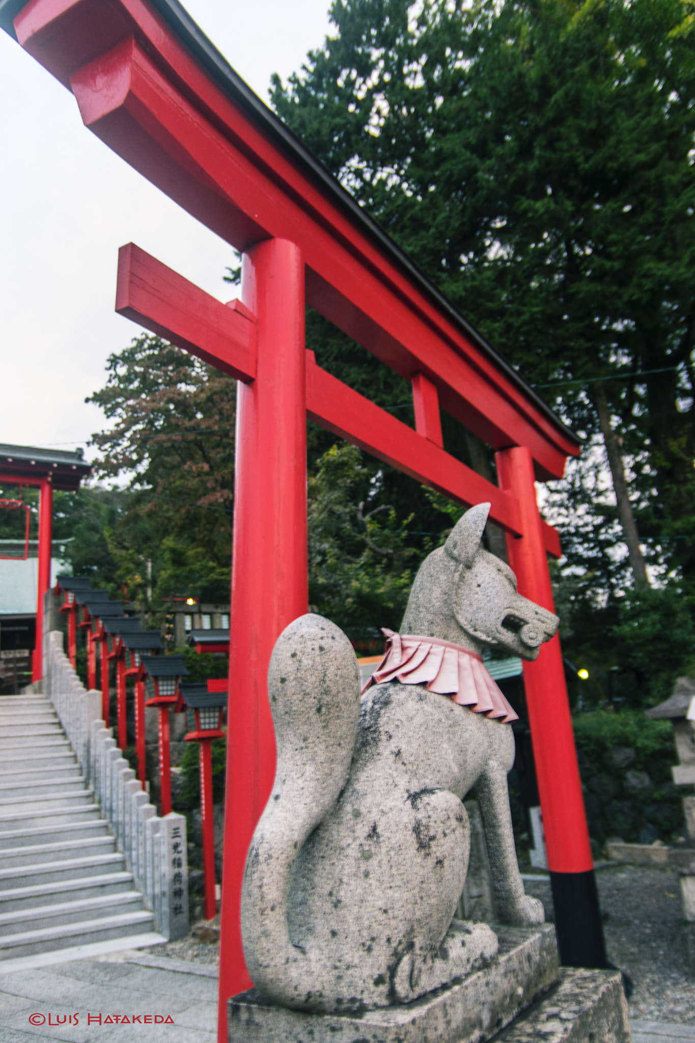 Nikon D3300 + Sigma 18-50mm F2.8 EX DC sample photo. Entrance to inuyama castle photography