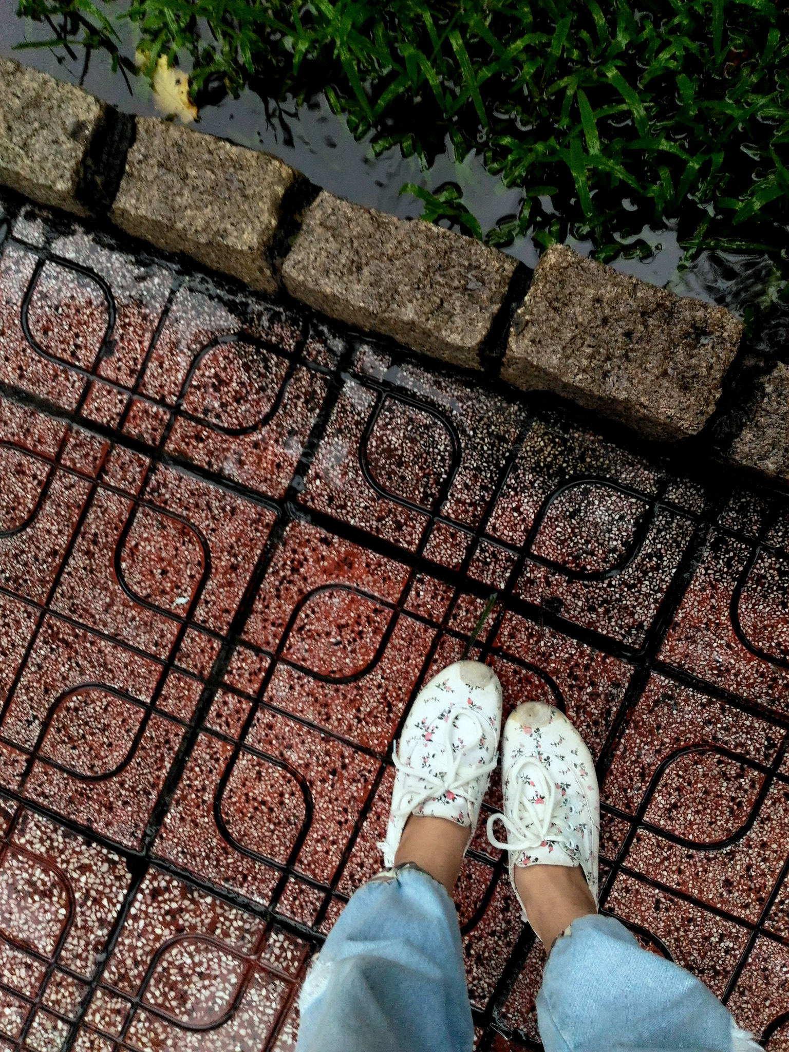 ASUS ZenFone Max (ZC550KL) sample photo. :) photography