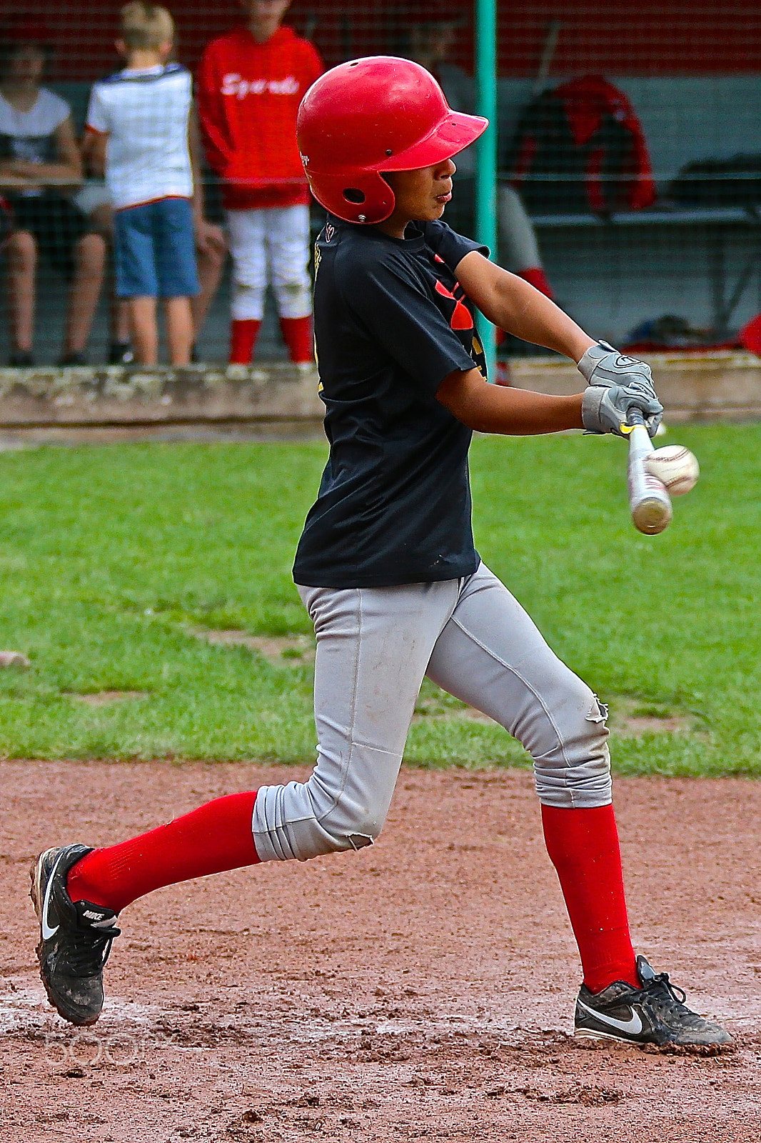 Canon EF 28-300mm F3.5-5.6L IS USM sample photo. Belgian baseball photography