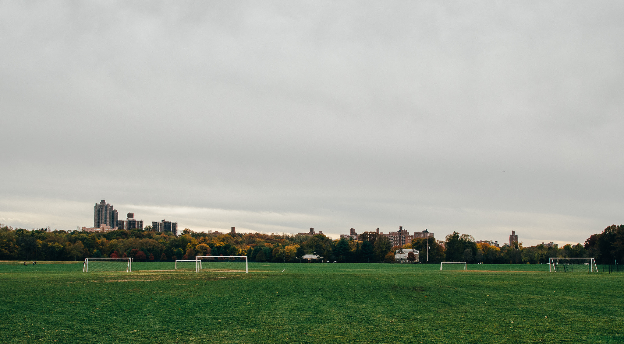 Sigma 19mm F2.8 EX DN sample photo. Van cortlandt park photography