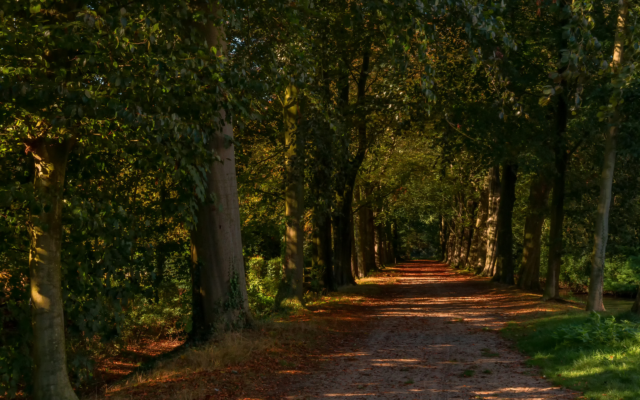 Canon EOS 70D + Canon EF 16-35mm F4L IS USM sample photo. Hof ter saxen photography