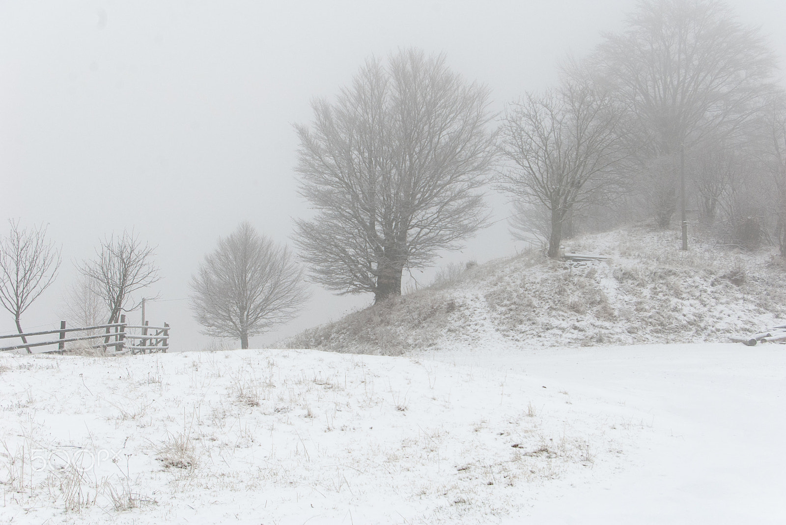 Pentax *ist DL sample photo. Foggy winter morning in the transcarpathian ukraine.  photography