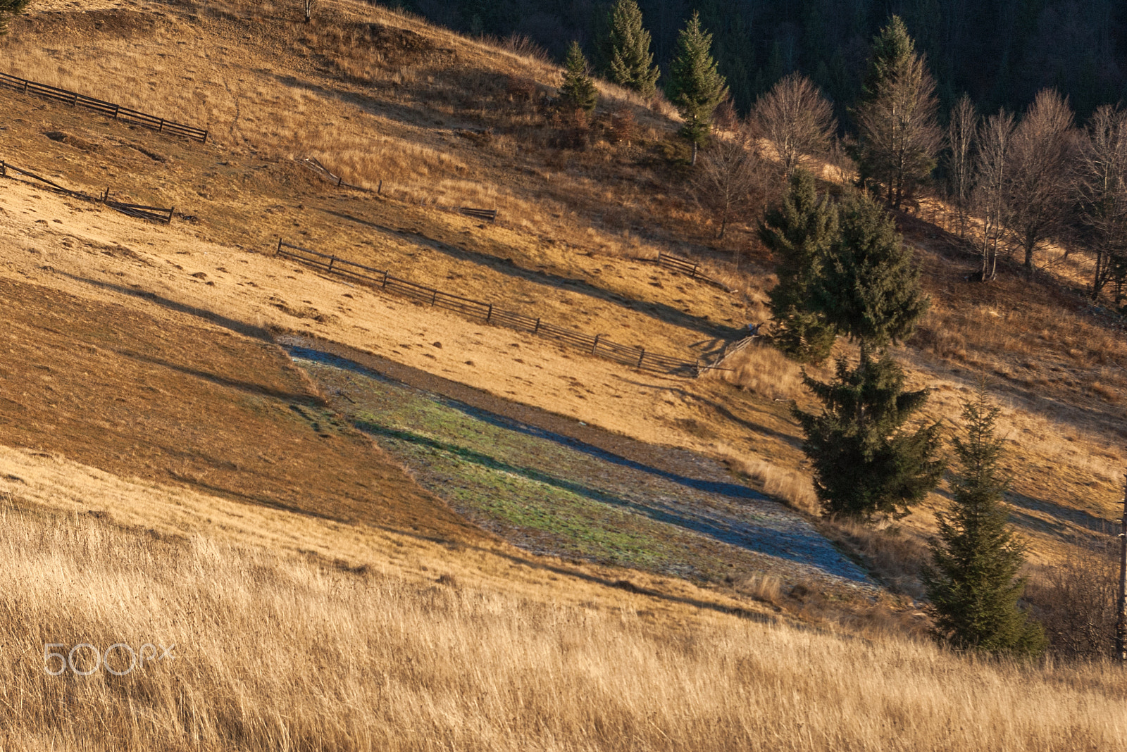 Pentax *ist DL sample photo. A piece of a colored carpathian blanket. western ukraine. photography