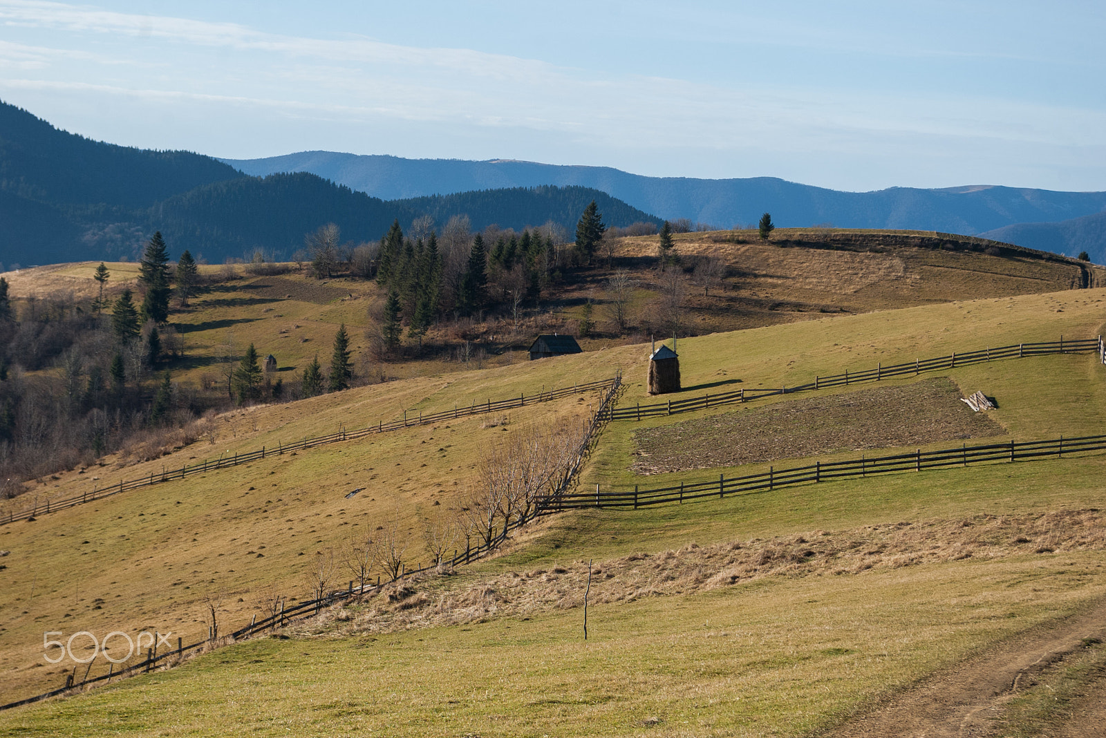 Pentax *ist DL sample photo. Carpathian meadows in  november. photography