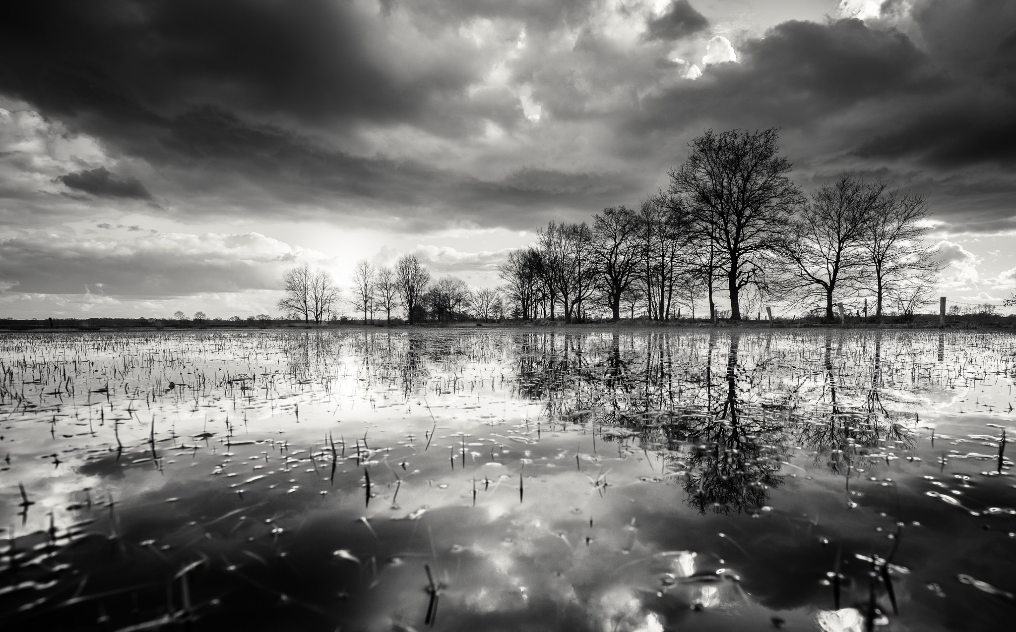 Canon EOS 5DS R + Canon EF 16-35mm F4L IS USM sample photo. Flooded meadow photography