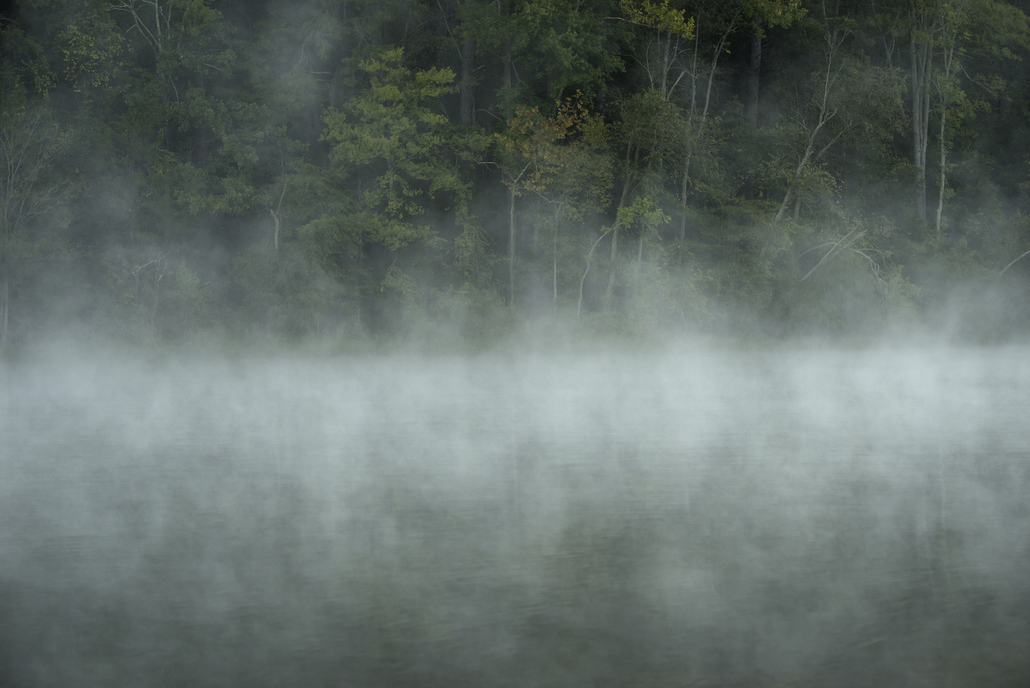 Pentax D FA* 70-200mm F2.8ED DC AW sample photo. Morning photography