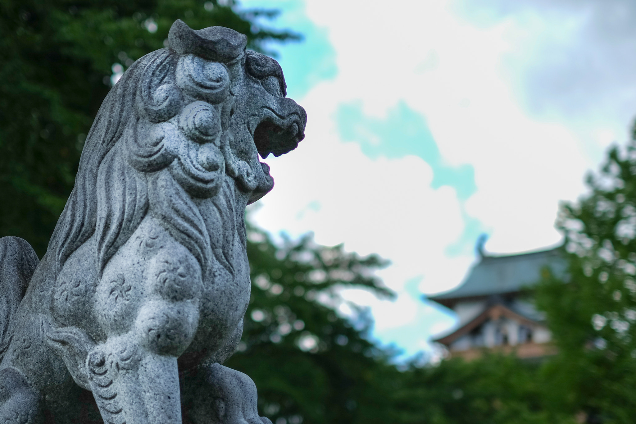 Fujifilm X-M1 + Fujifilm XF 35mm F1.4 R sample photo. Point of eyes photography