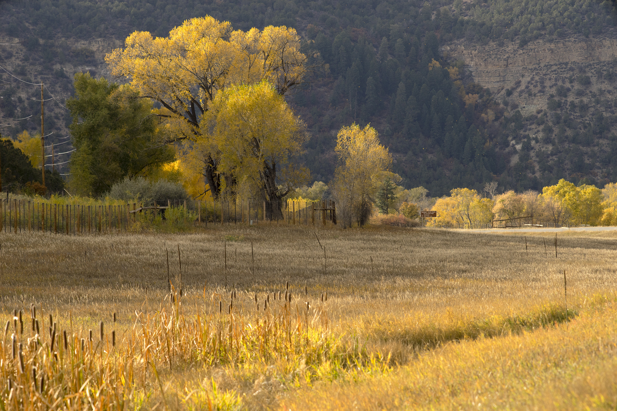Sony a7 + Minolta AF 200mm F2.8 HS-APO G sample photo. Fall in colorado photography