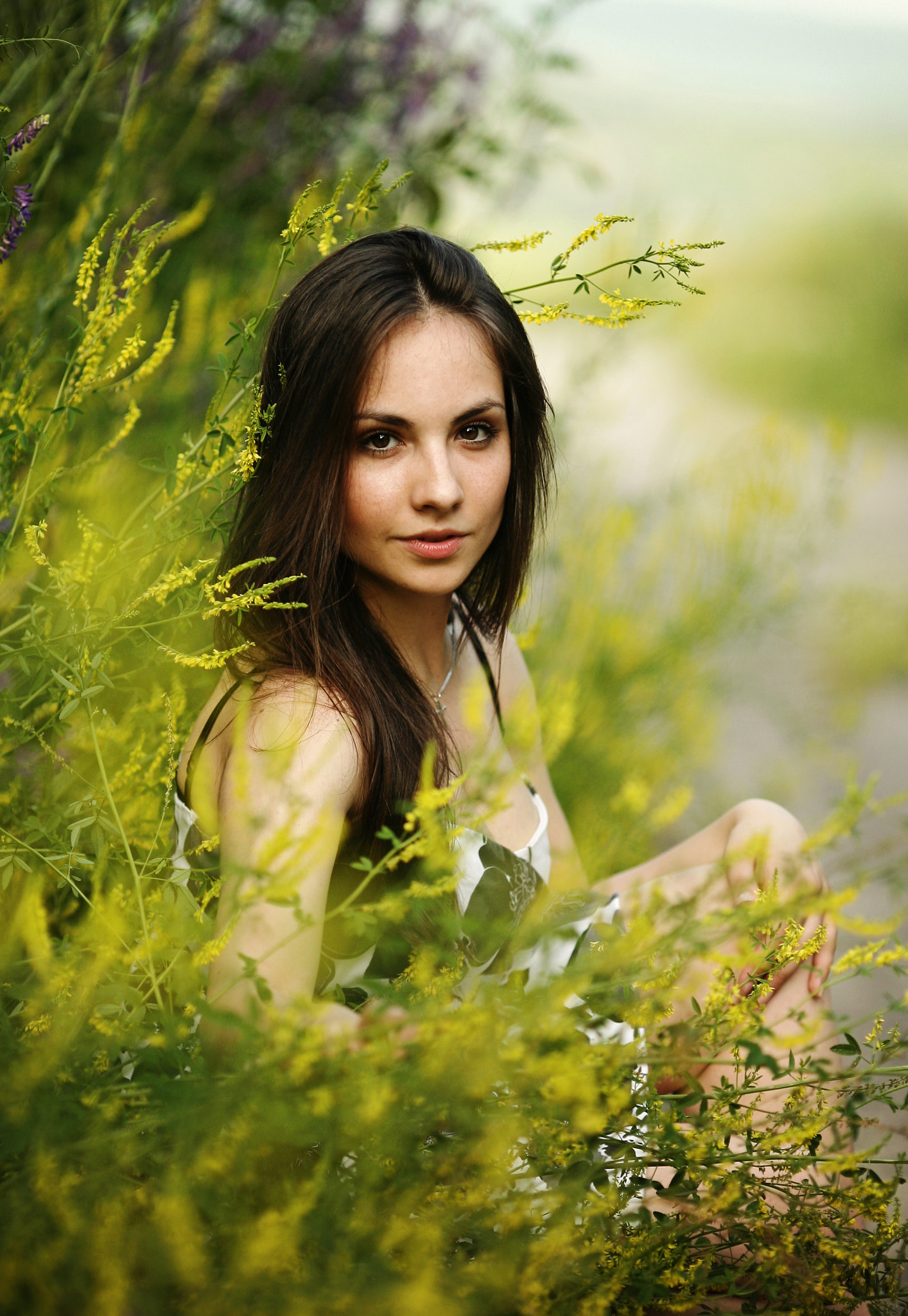 Canon EOS 5D + Canon EF 135mm F2L USM sample photo. Img photography