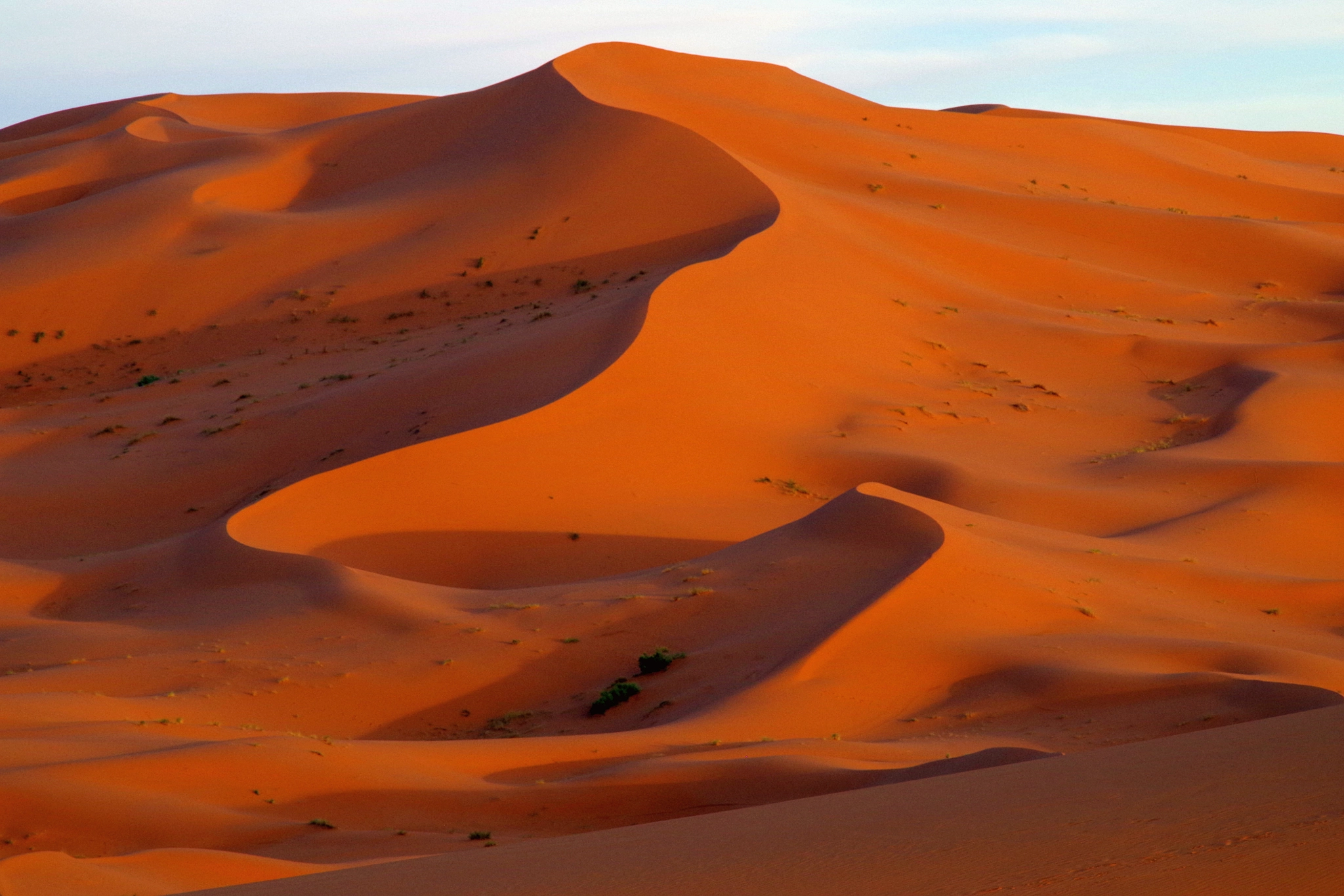 Tamron AF 18-200mm F3.5-6.3 XR Di II LD Aspherical (IF) Macro sample photo. Dune photography