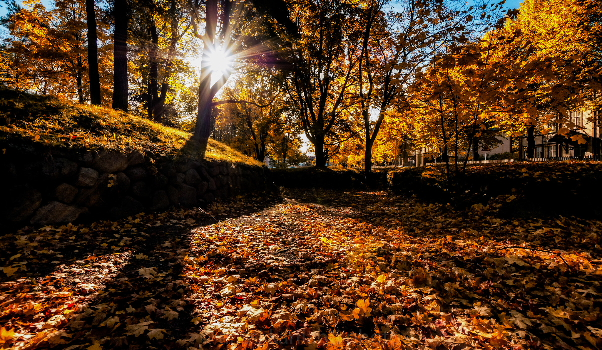 Nikon D300 + Sigma 10-20mm F3.5 EX DC HSM sample photo. Shadow and light photography