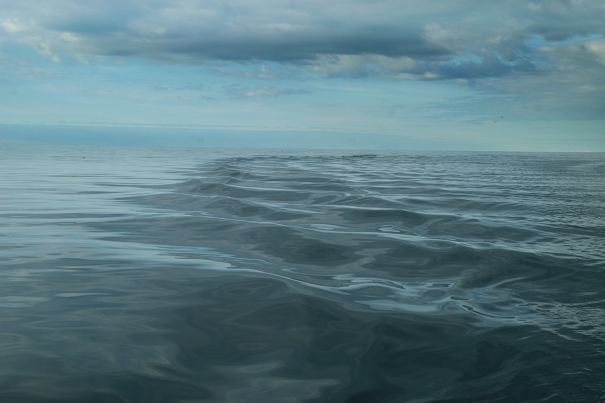 Sony Alpha DSLR-A290 sample photo. Expanse photography