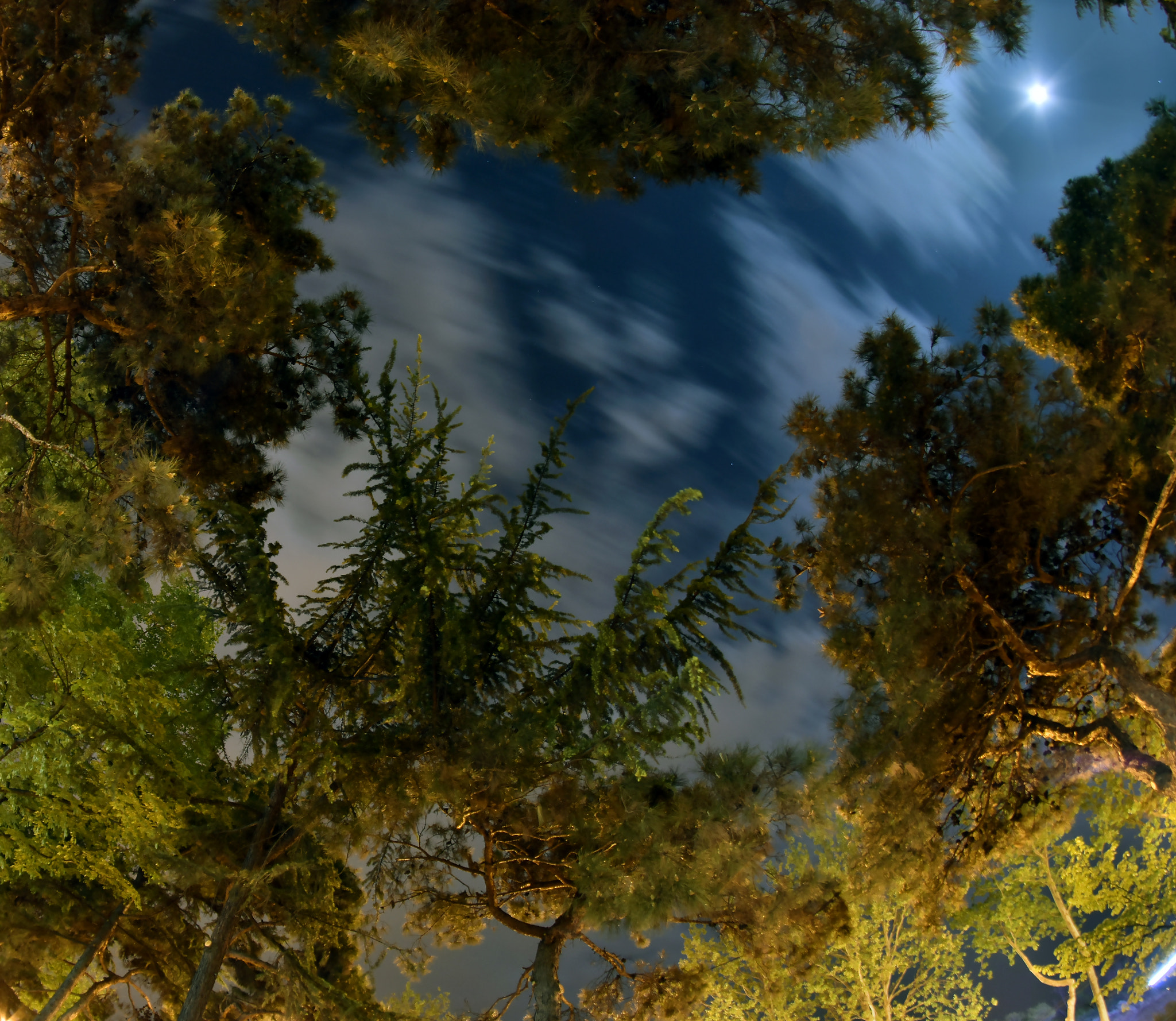 Samyang 8mm F3.5 Aspherical IF MC Fisheye sample photo. Dsc photography