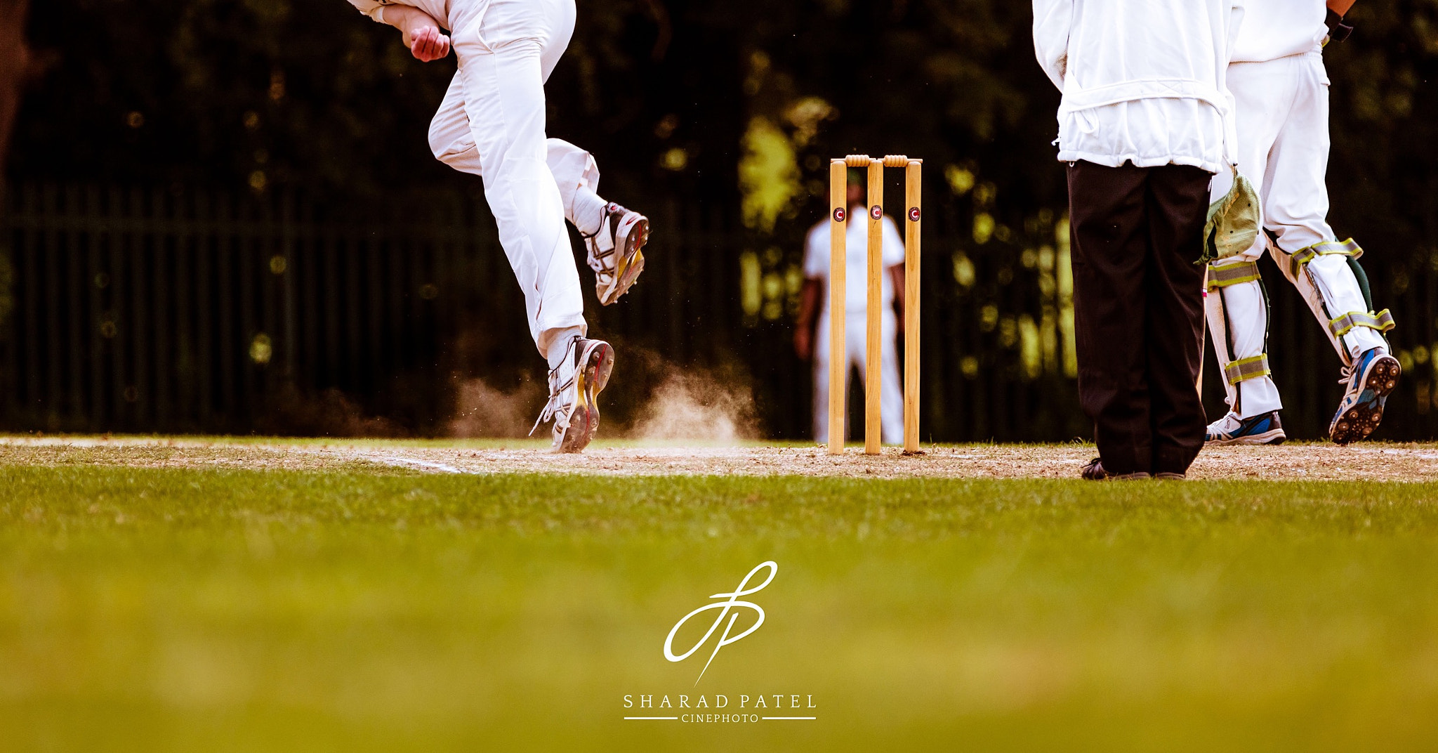 Canon EF 70-200mm F2.8L IS II USM sample photo. Another one bites the dust! cricket photography ca ... photography
