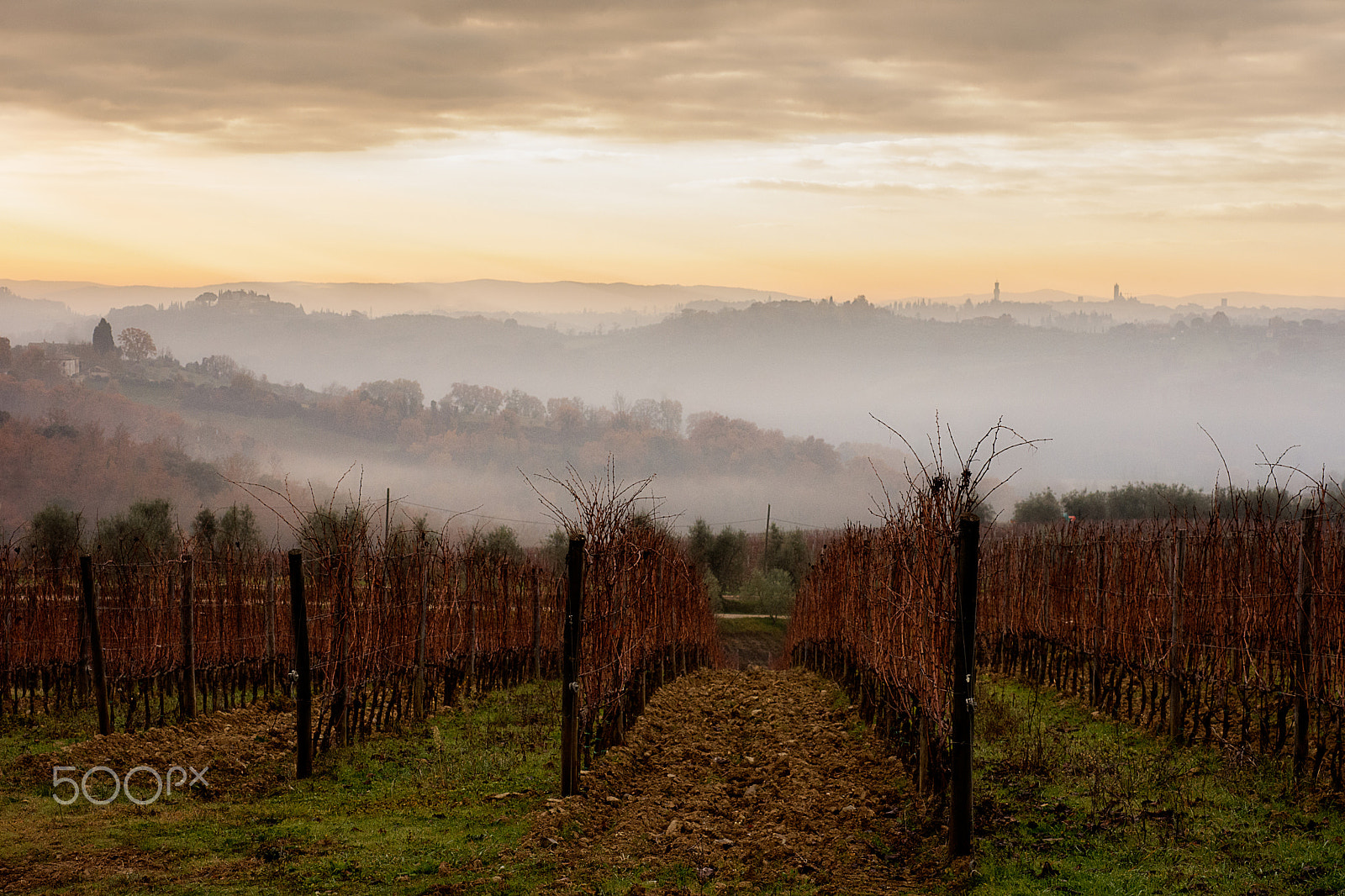 Nikon D7200 + AF Micro-Nikkor 60mm f/2.8 sample photo. A misty morning near siena photography