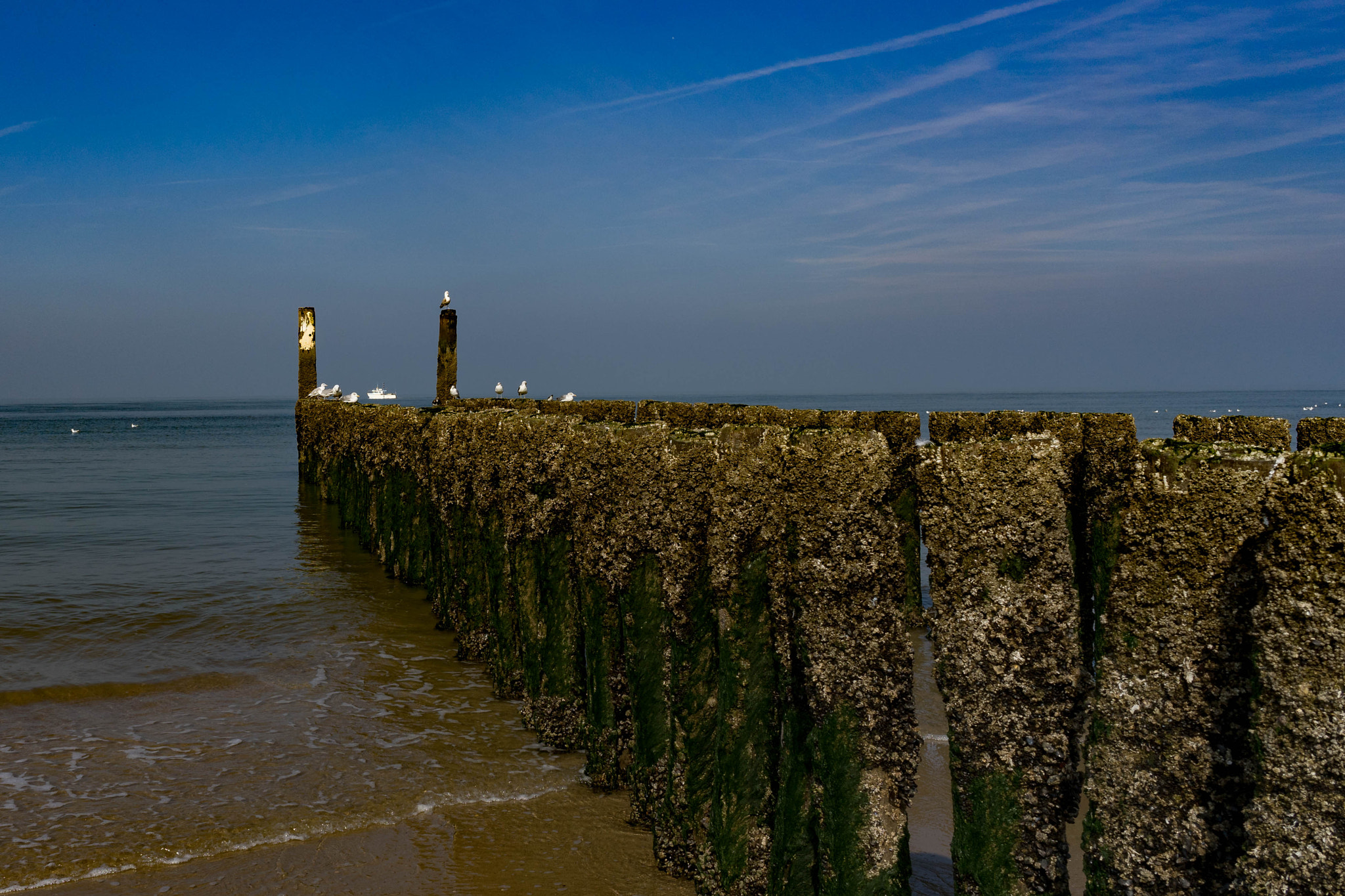 Sony a7 II + ZEISS Batis 25mm F2 sample photo. 20160921-dsc07222.jpg photography