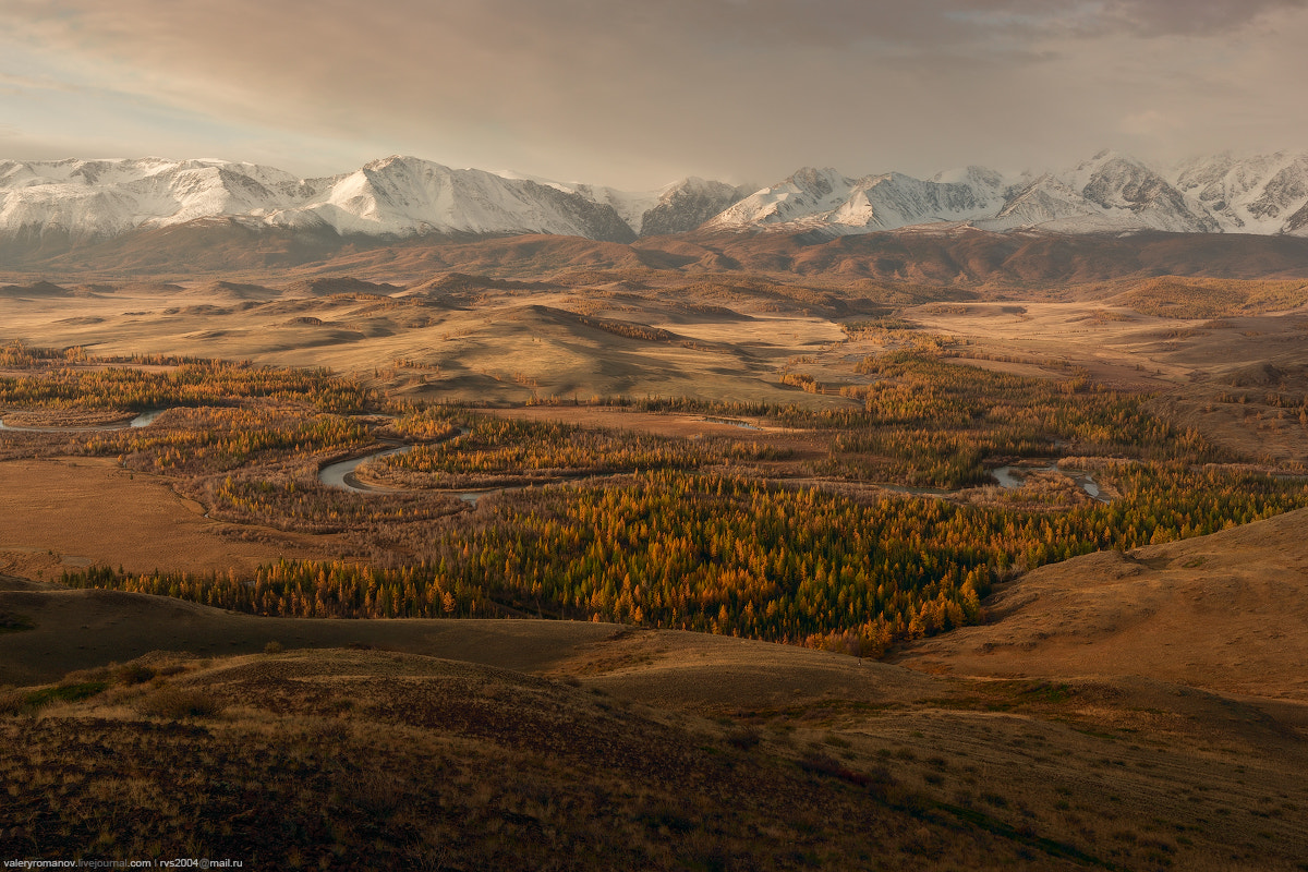 Sony a99 II + Sony Vario-Sonnar T* 16-35mm F2.8 ZA SSM sample photo. Fall in altai mountains photography