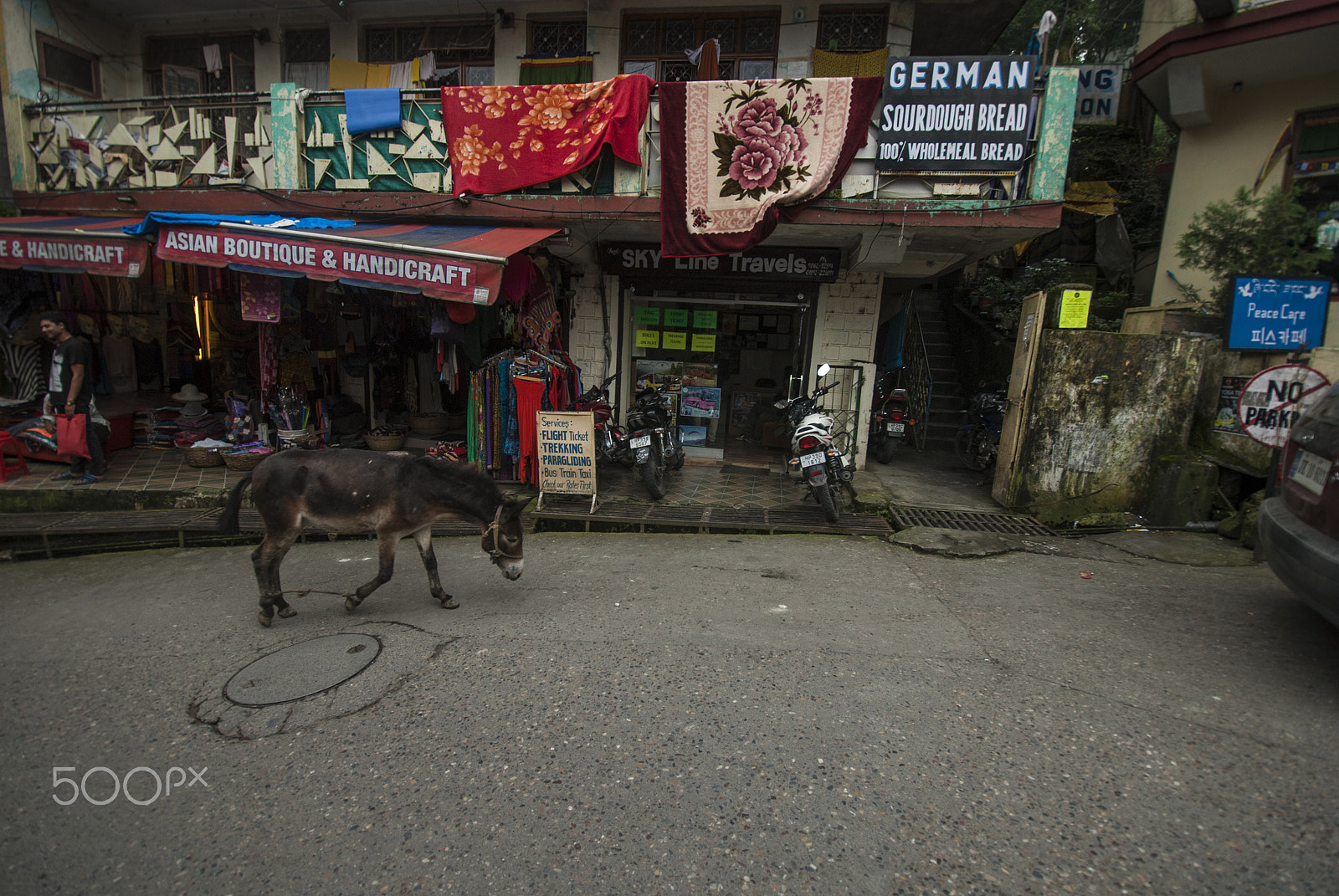 Nikon D200 sample photo. Dharamshala, macleodganj, himachal pradesh photography