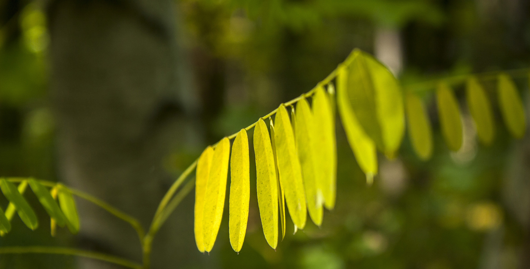 Canon EOS 30D sample photo. Img photography