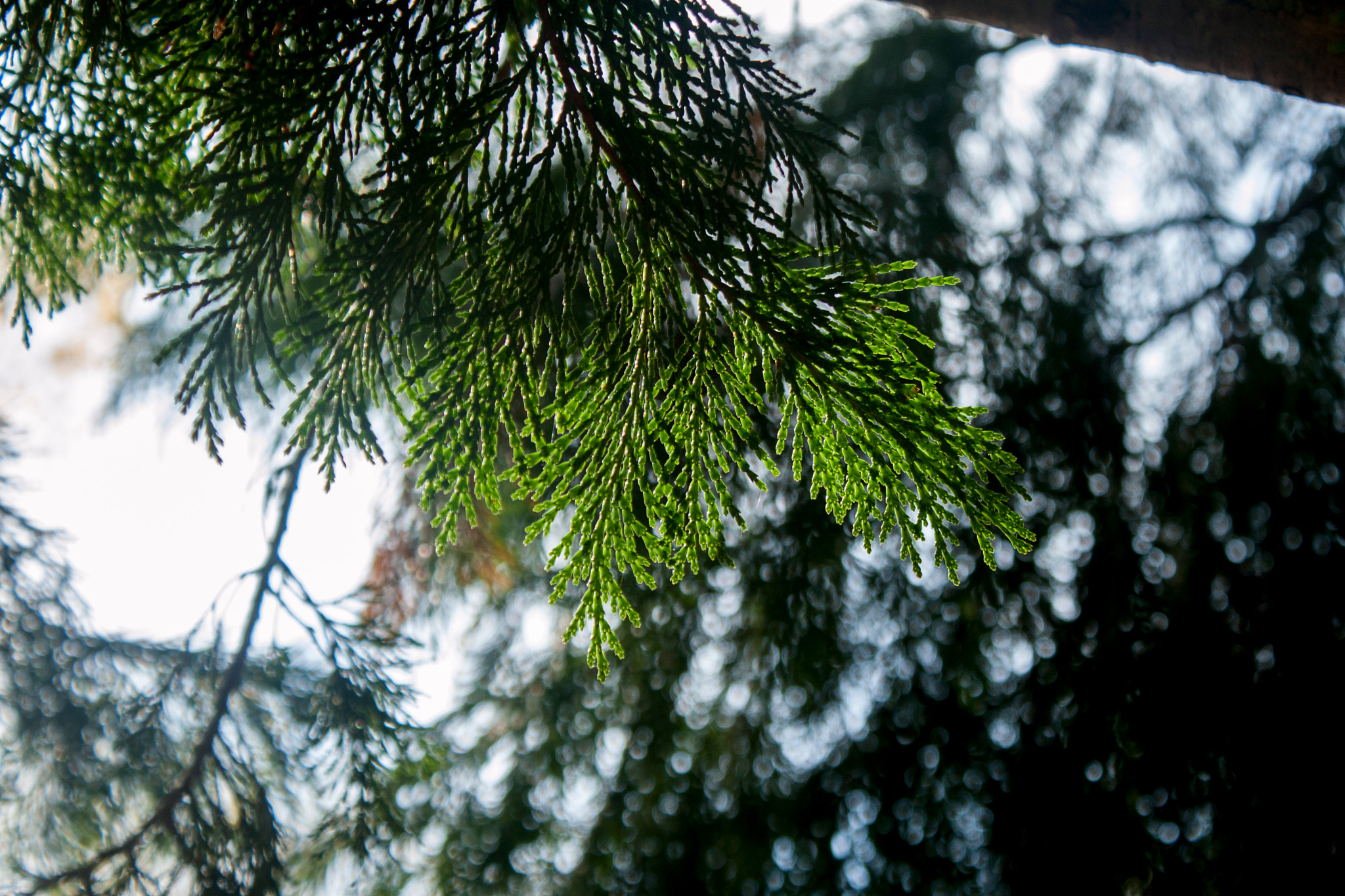 Canon EOS 30D sample photo. Img photography