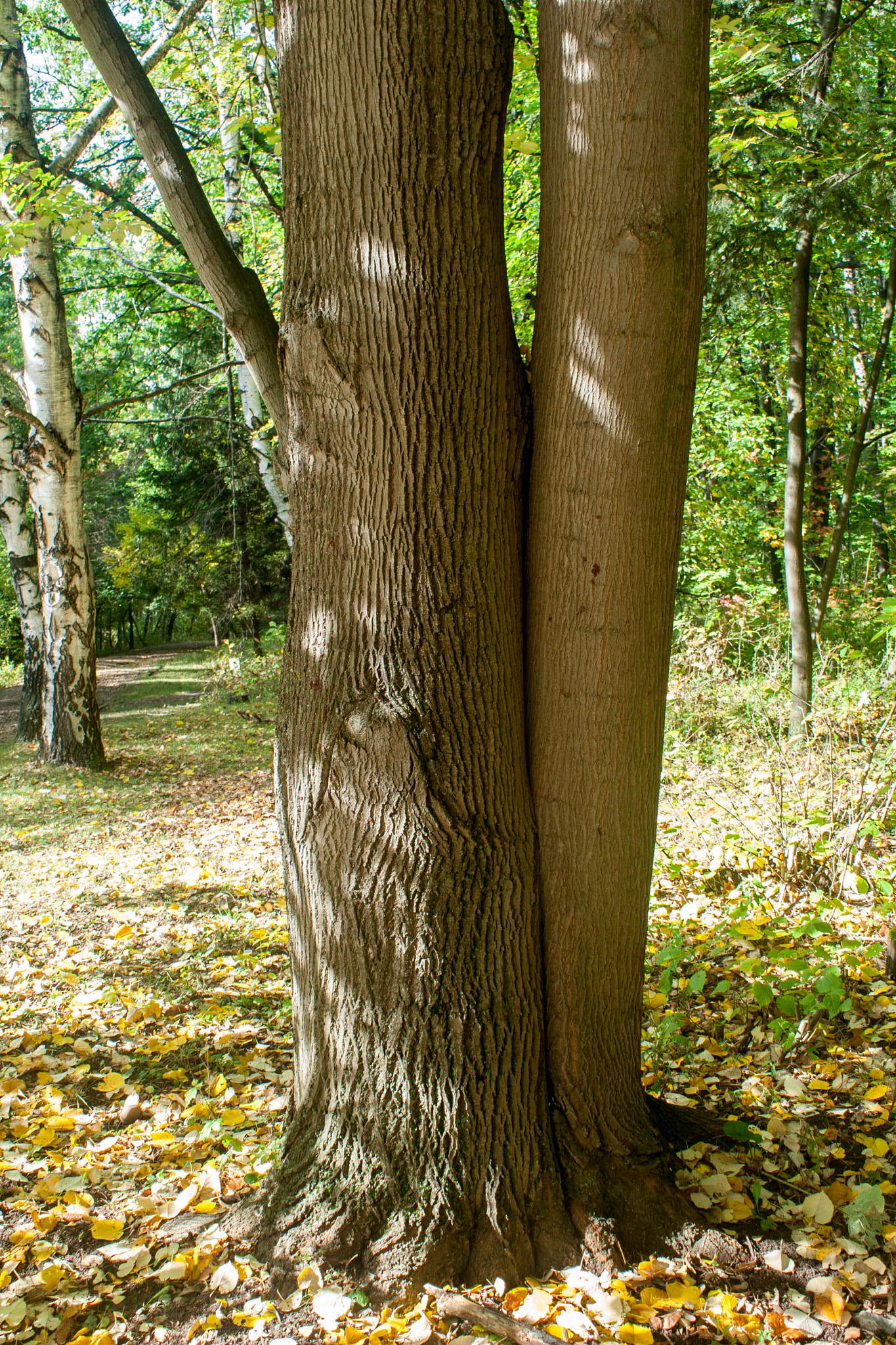 Canon EOS 30D sample photo. Img photography