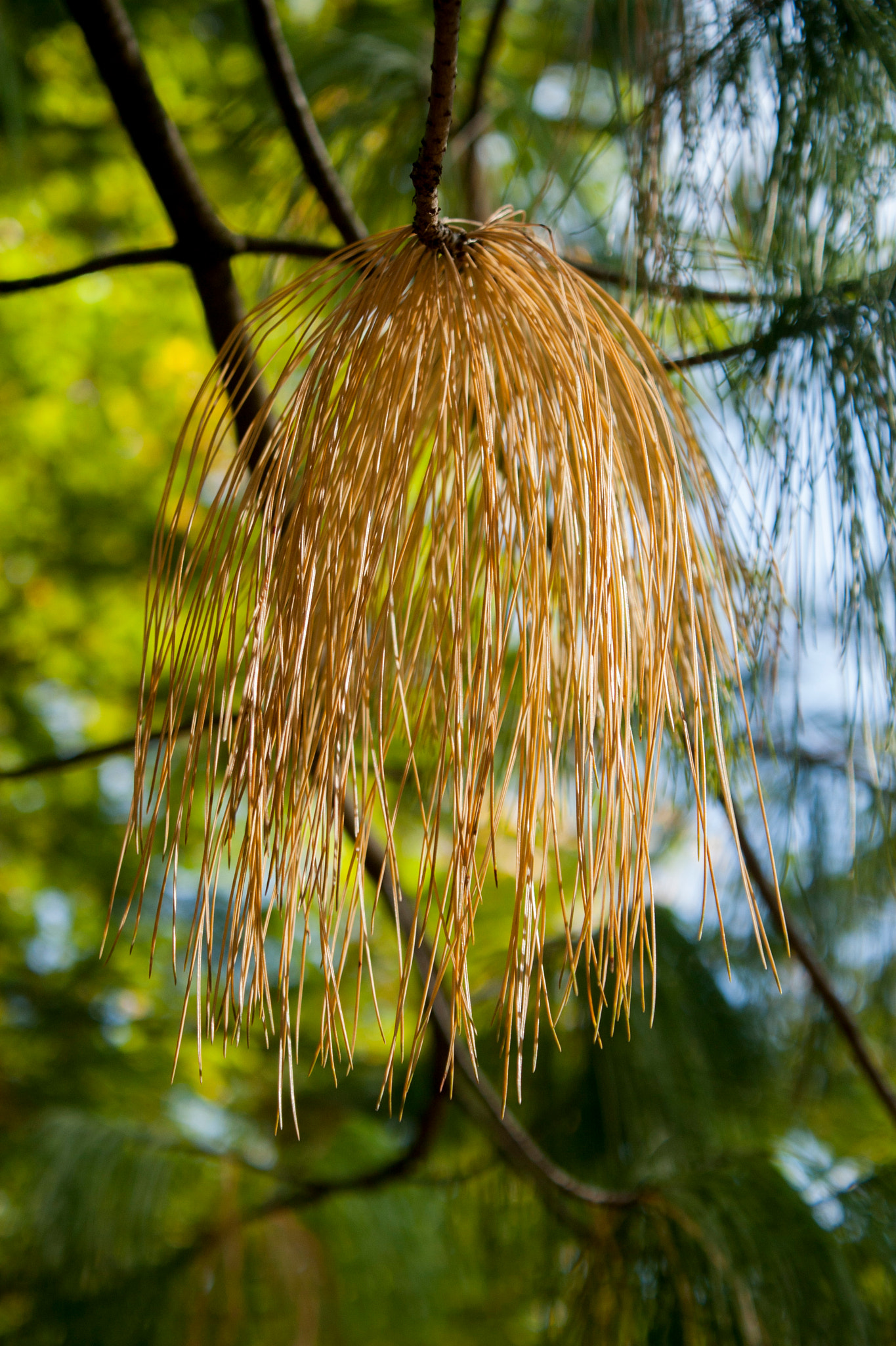 Canon EOS 30D sample photo. Img photography